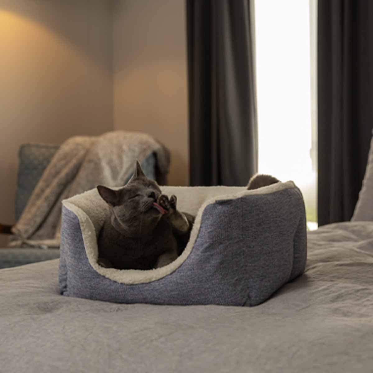 Lexi & Me High Wall Dog & Cat Bed Denim