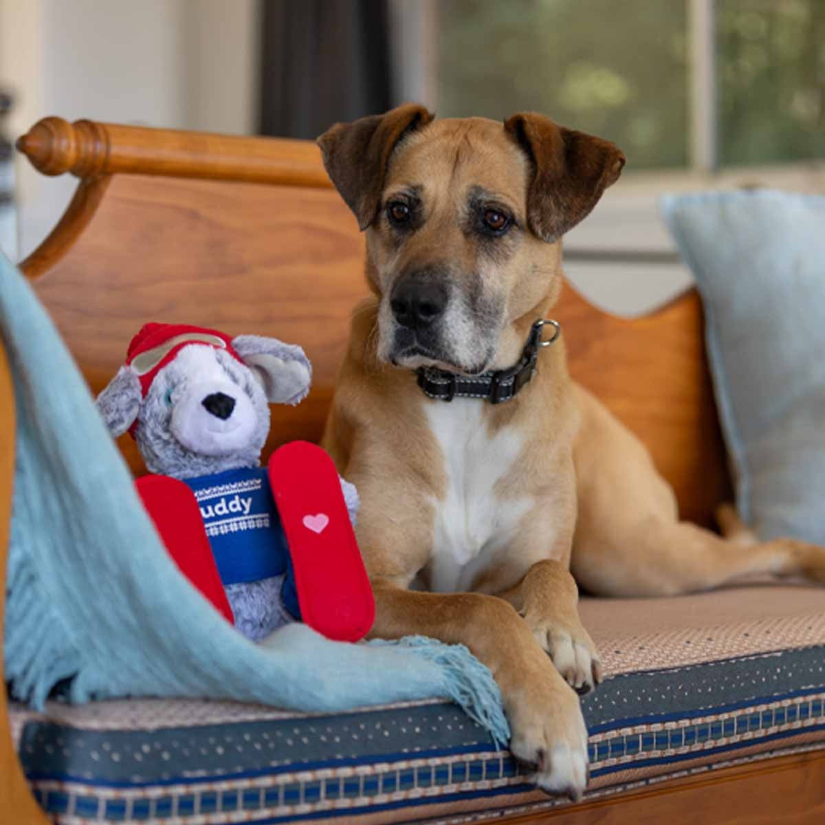 Petstock Foundation Winter Buddy Plush Toy