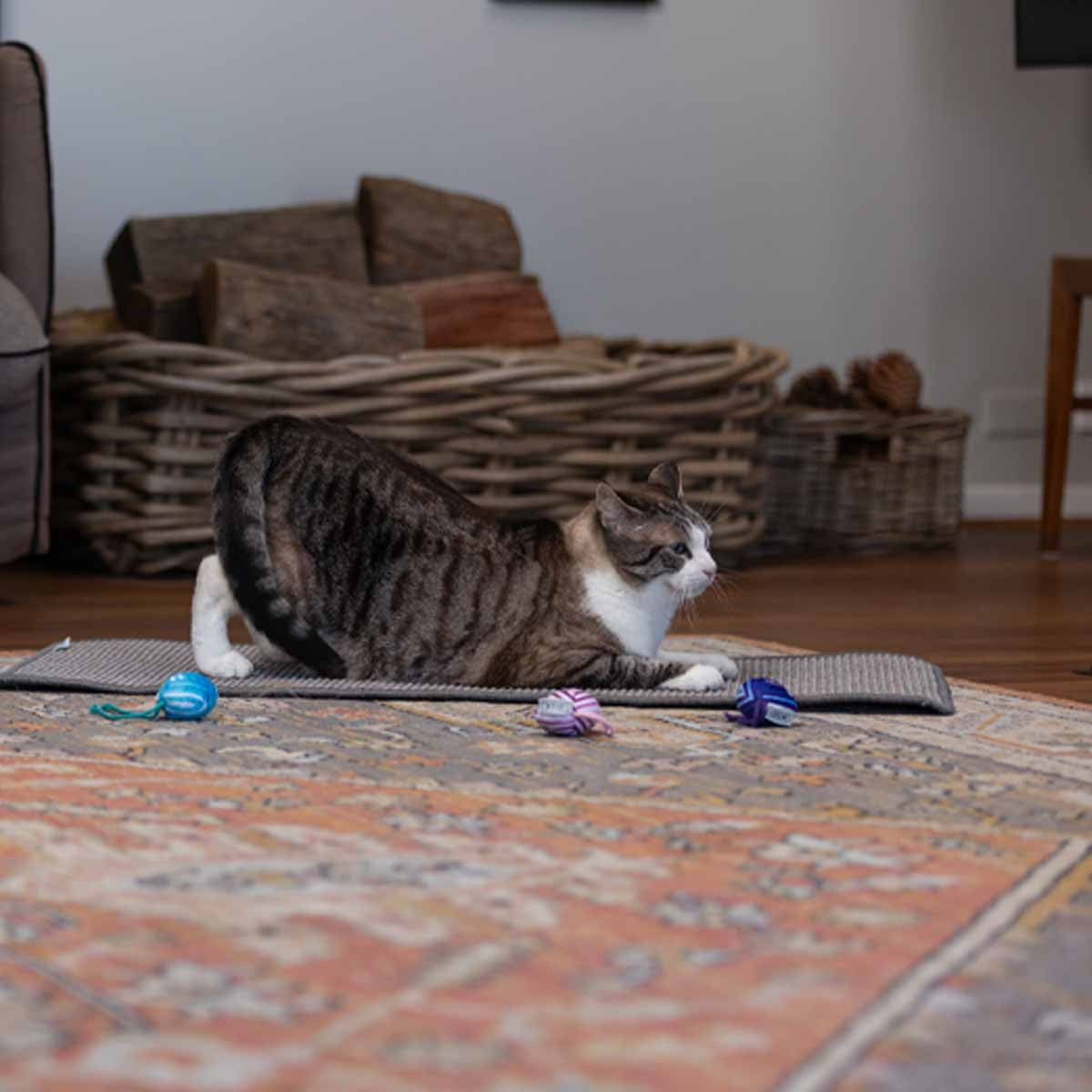Lexi & Me Cat Scratcher Mat Grey