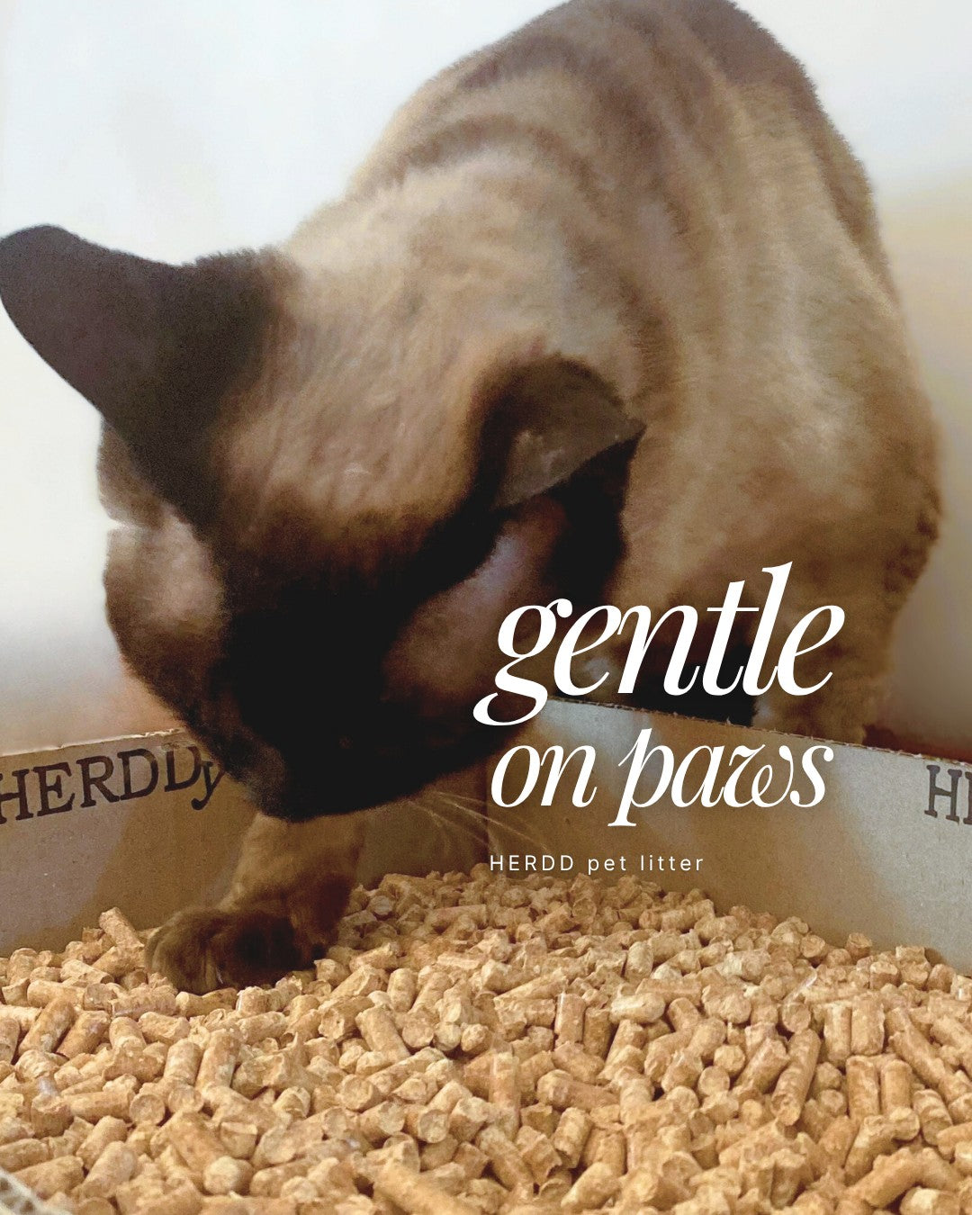 HERDD Natural Pet Litter