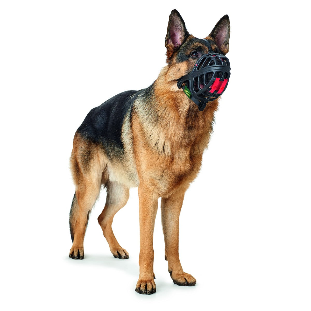 Hunter Albury Dog Muzzle