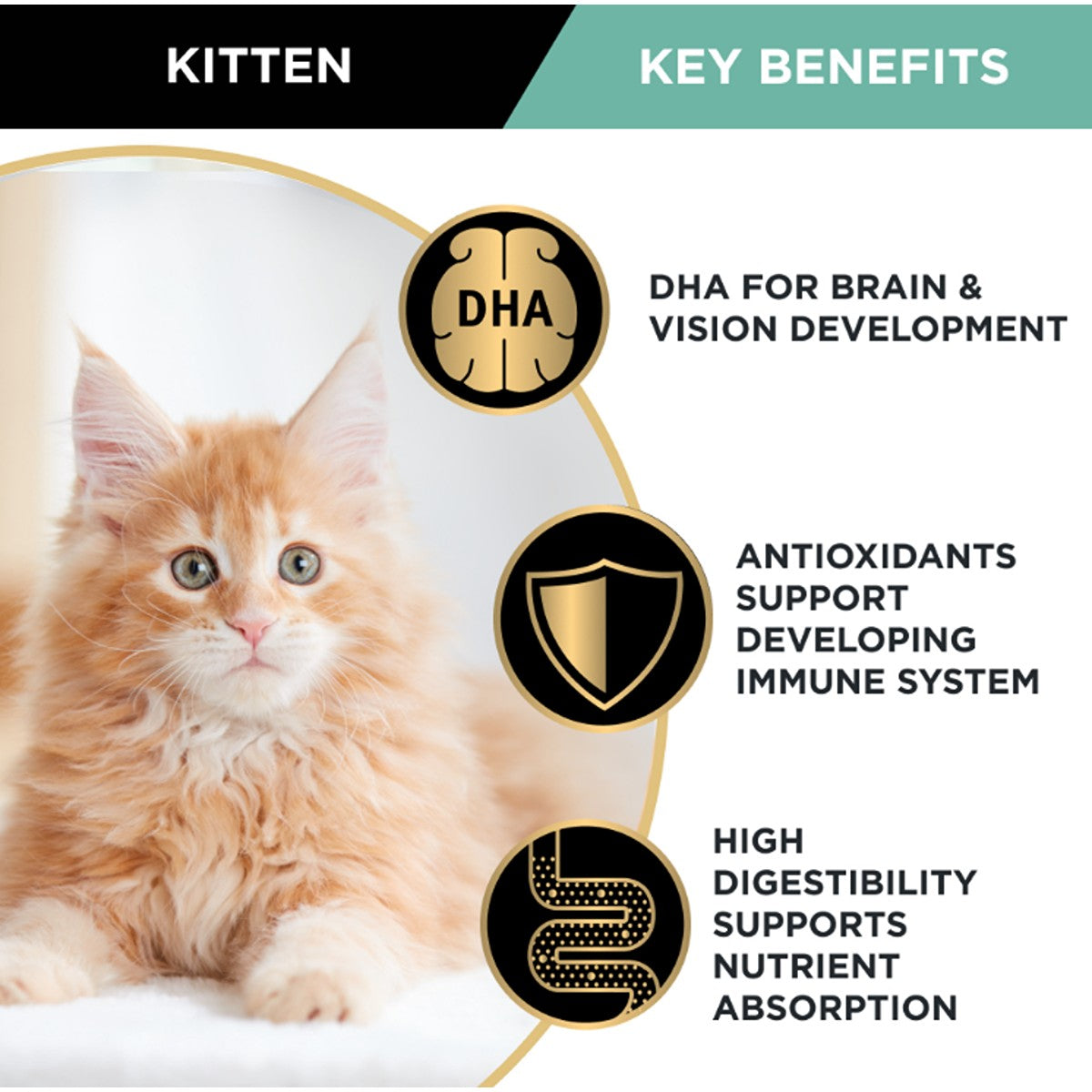 PRO PLAN Kitten Mixed Variety Wet Cat Food Pack