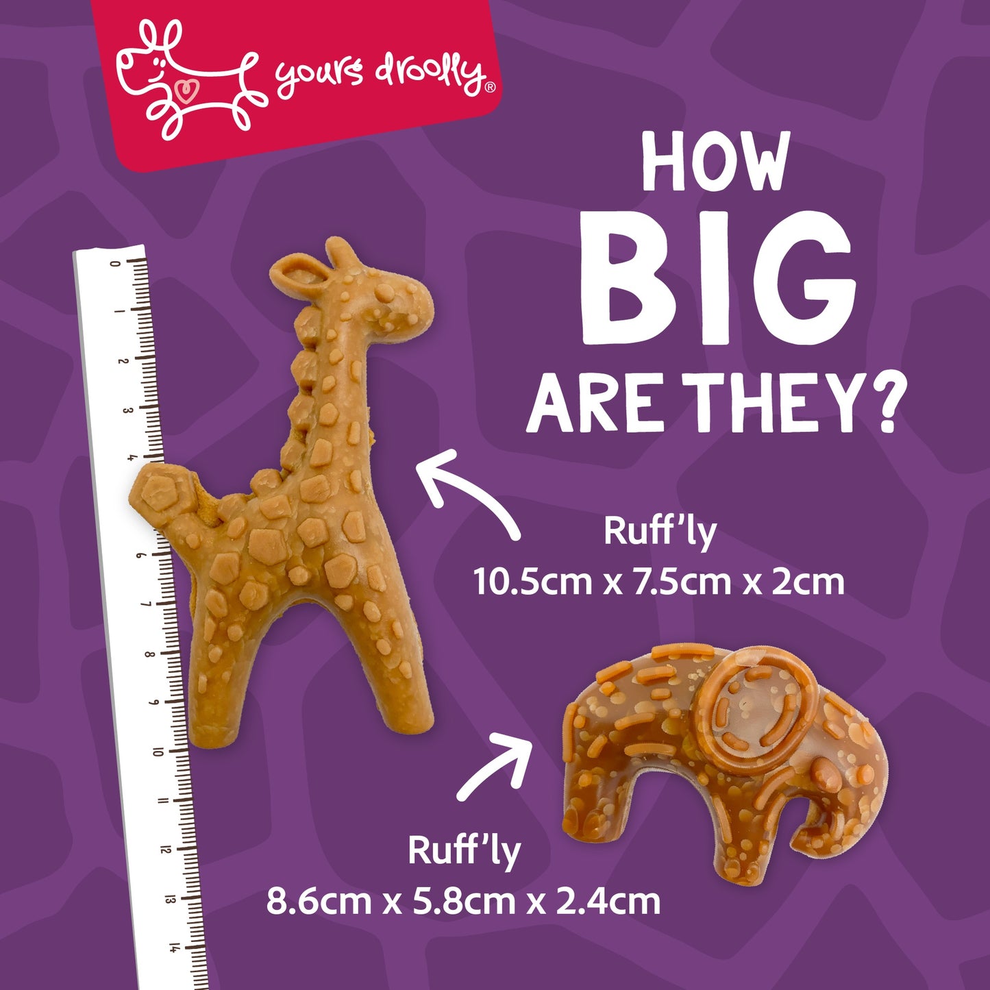 Yours Droolly Animal Variety Shapes with Chicken Paste Dog Treats