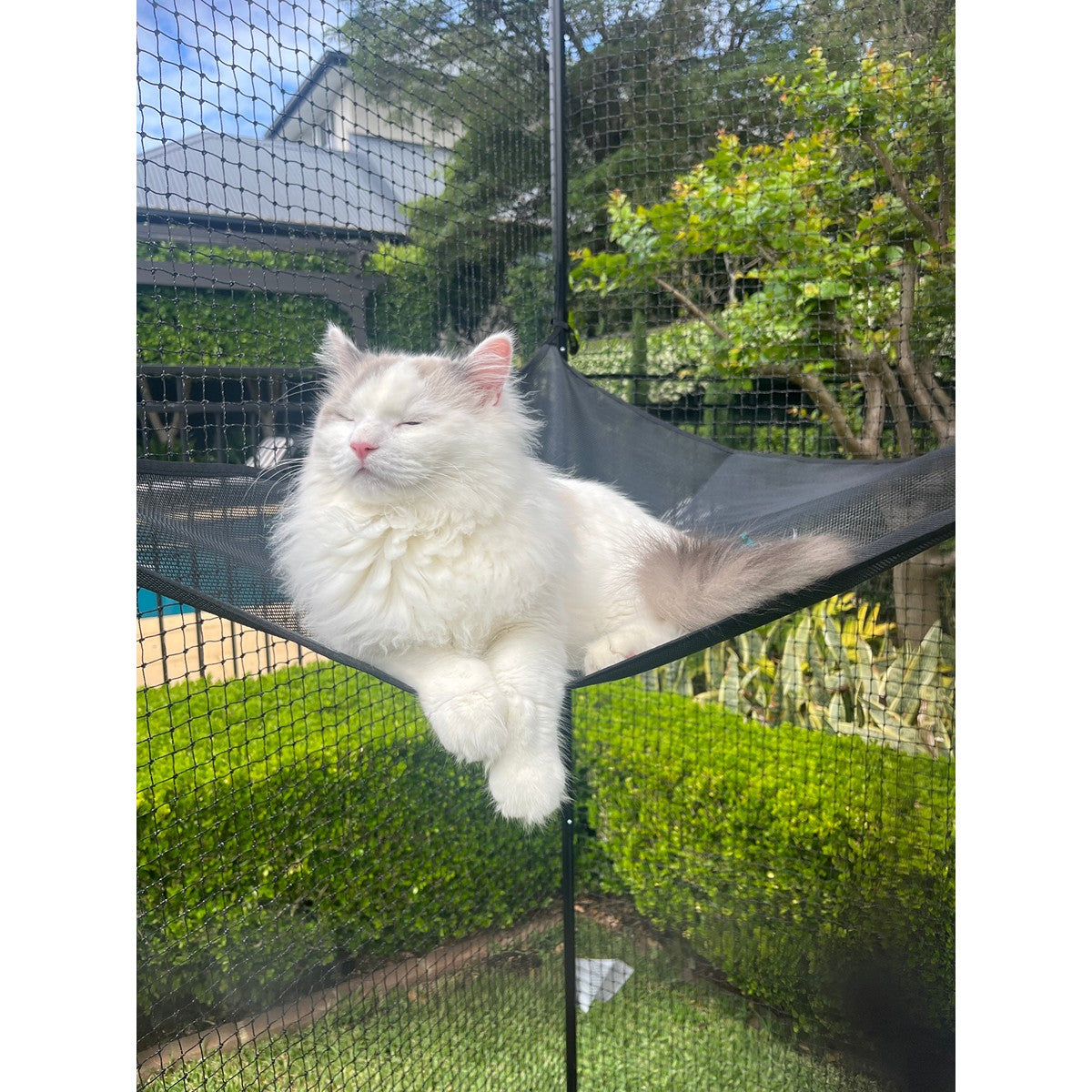 Catnets Peak Cat Enclosure with Hammock
