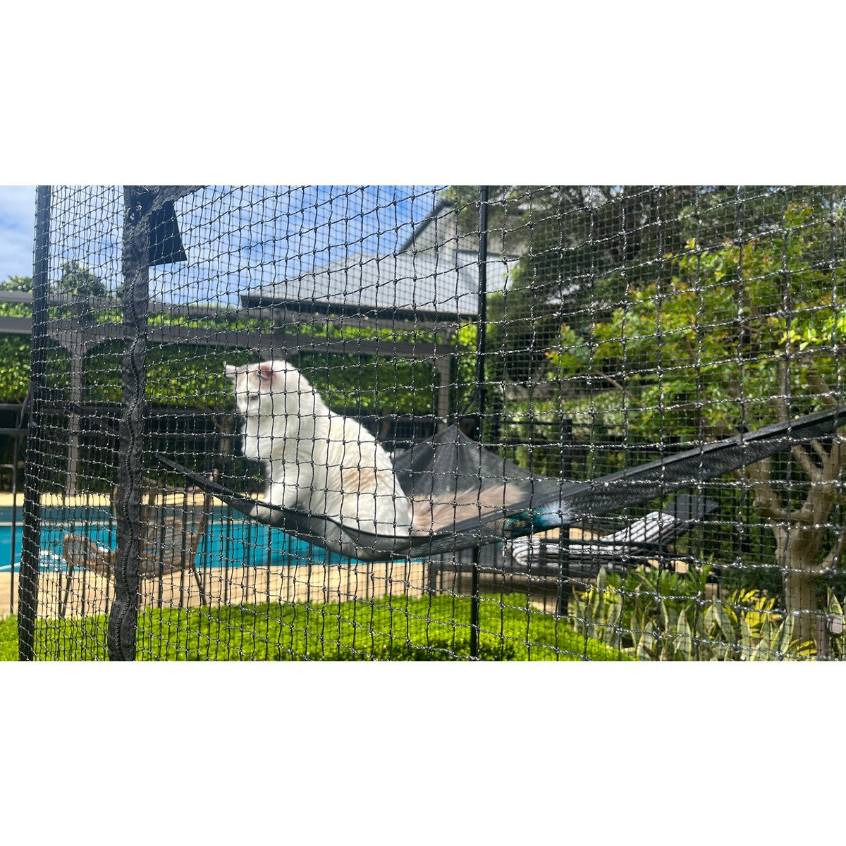 Catnets Fortress Cat Enclosure with Hammock