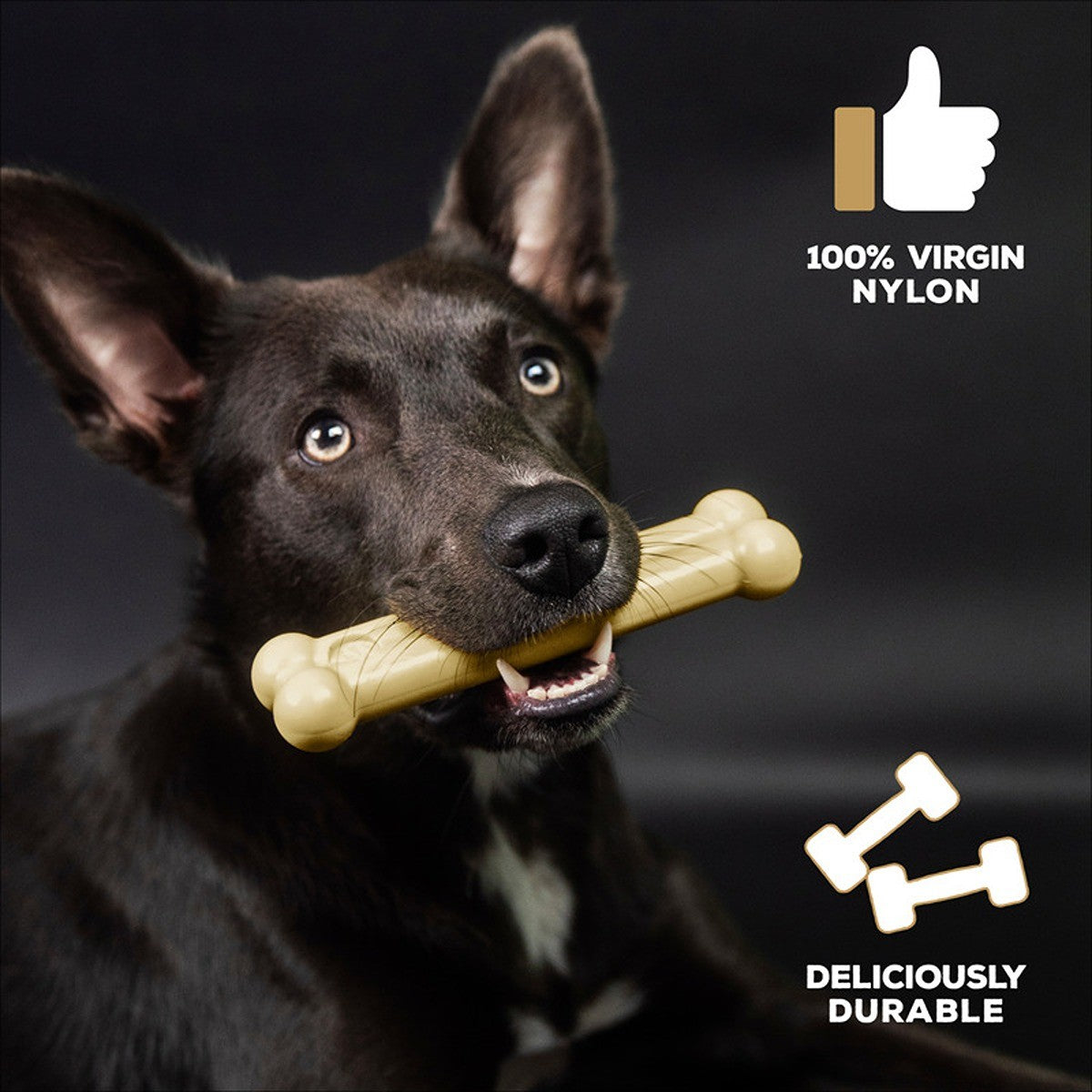 Tasty Bone Nylon Cheddar Cheese Bone Dog Toy
