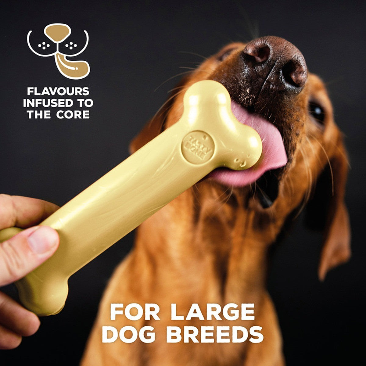 Tasty Bone Nylon Cheddar Cheese Bone Dog Toy