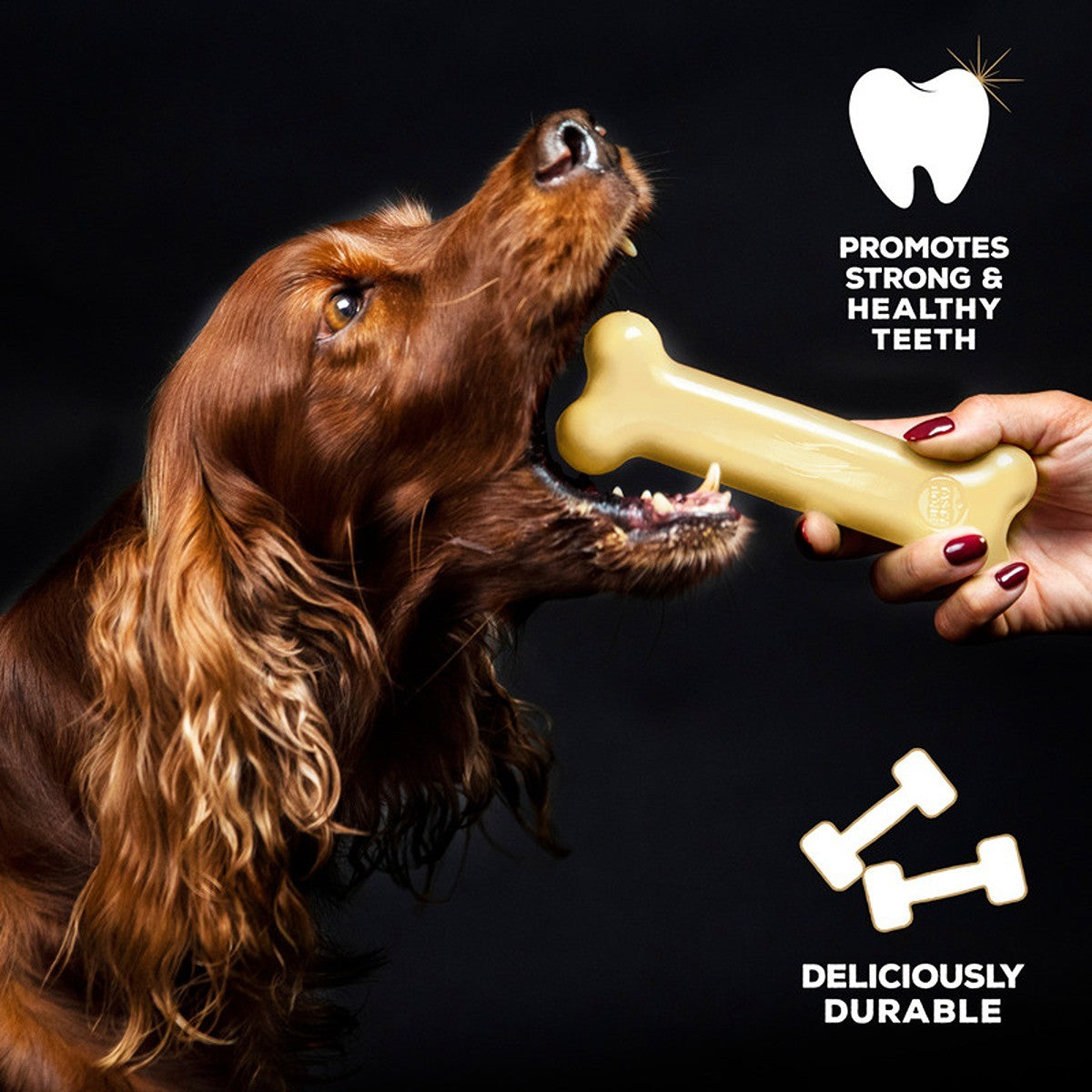 Tasty Bone Nylon Cheddar Cheese Bone Dog Toy