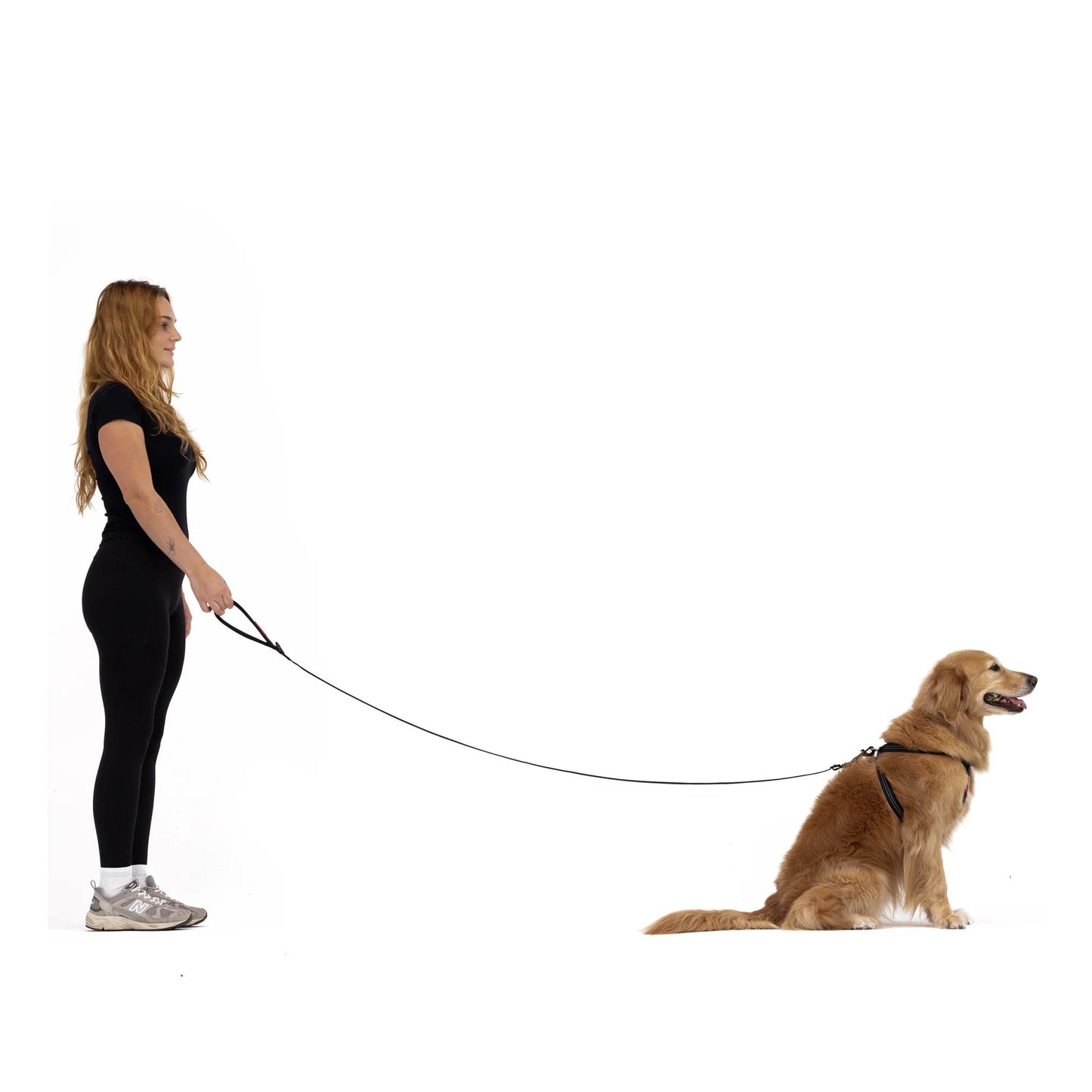 EzyDog Essential  Adjustable Leash