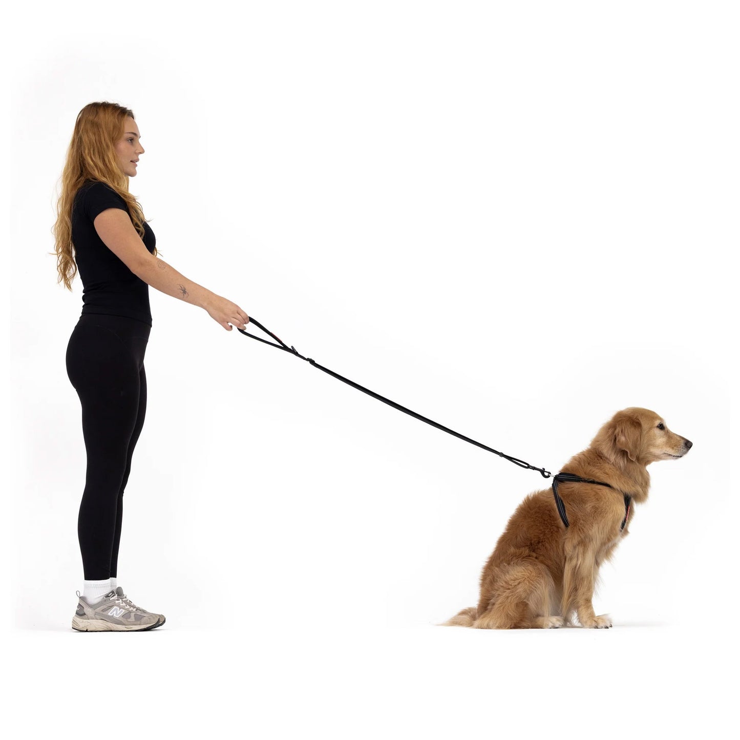 EzyDog Essential  Adjustable Leash