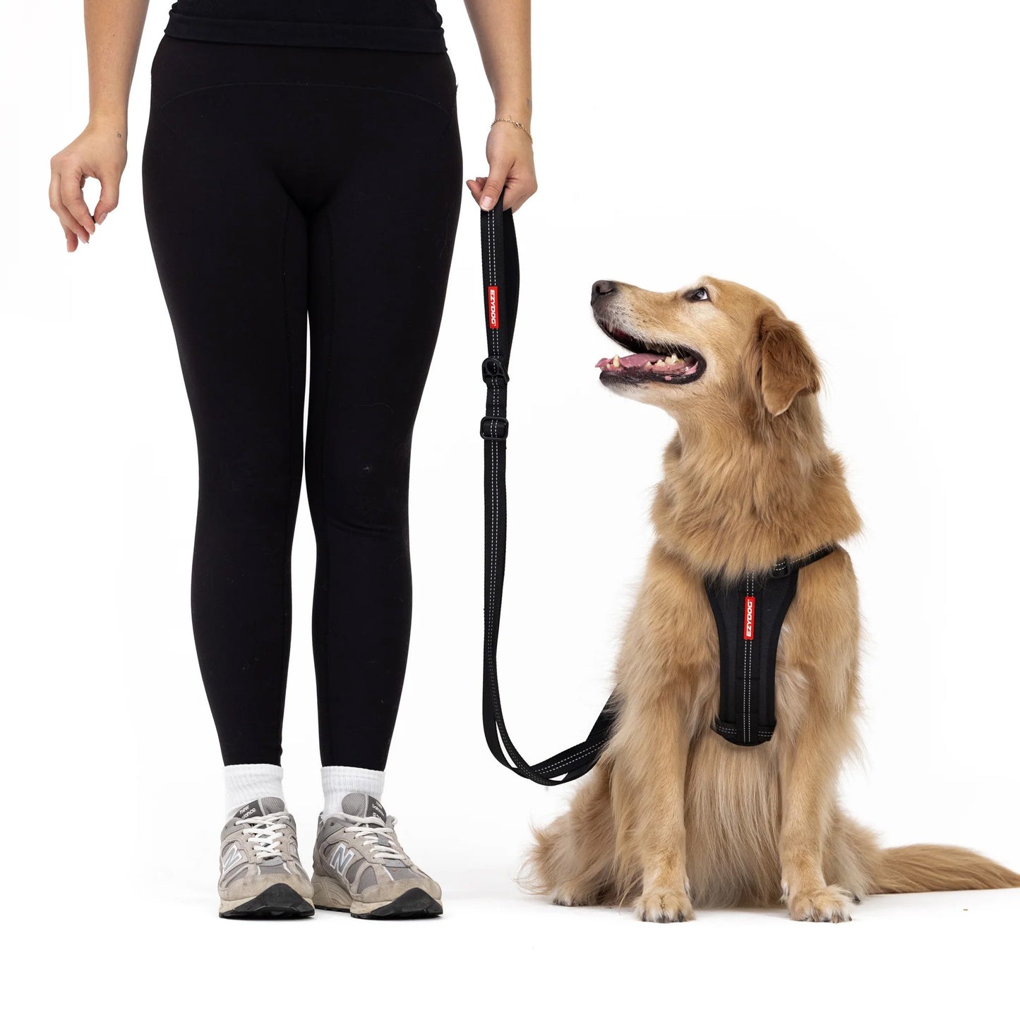 EzyDog Essential  Adjustable Leash