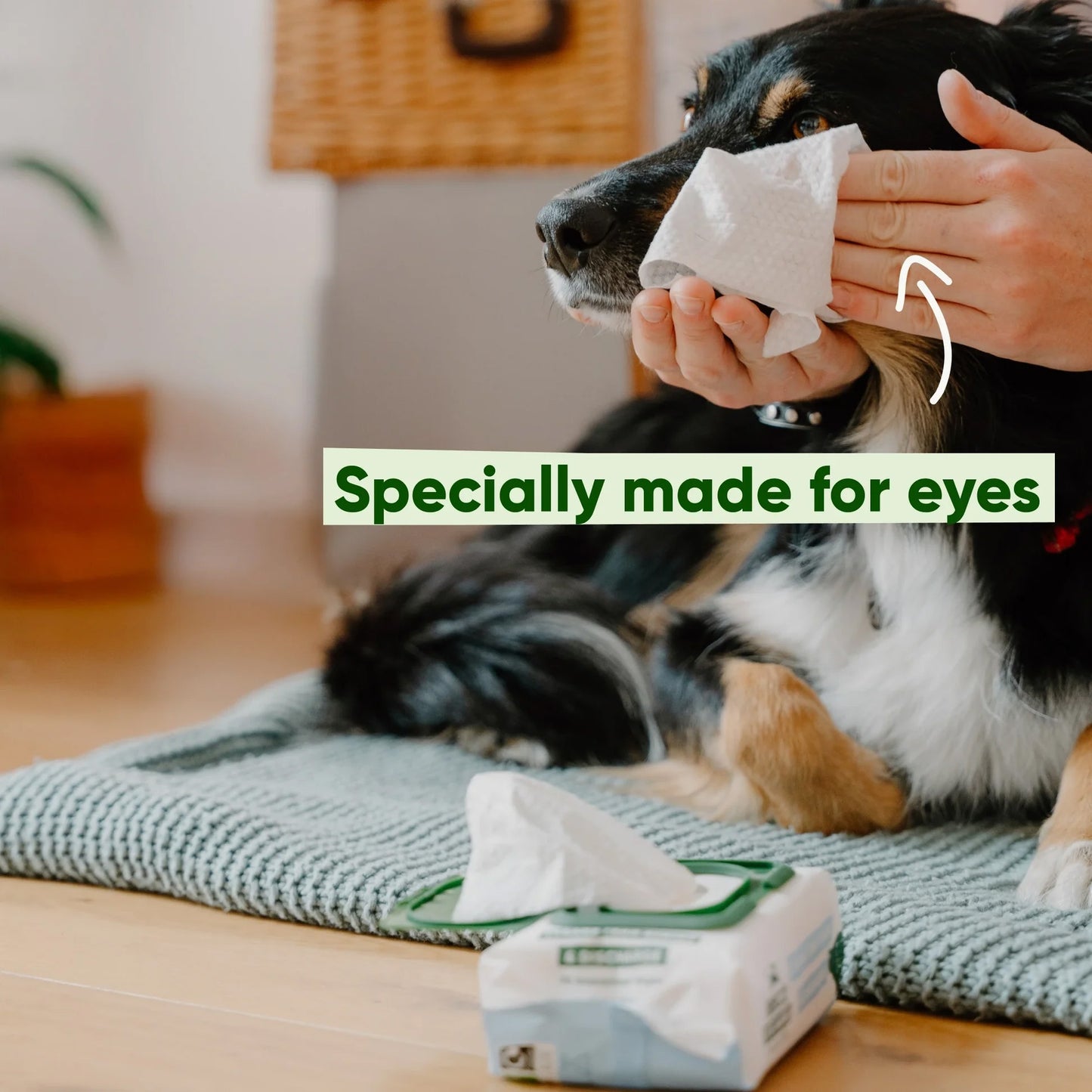 Beco Eye Wipes - Unscented