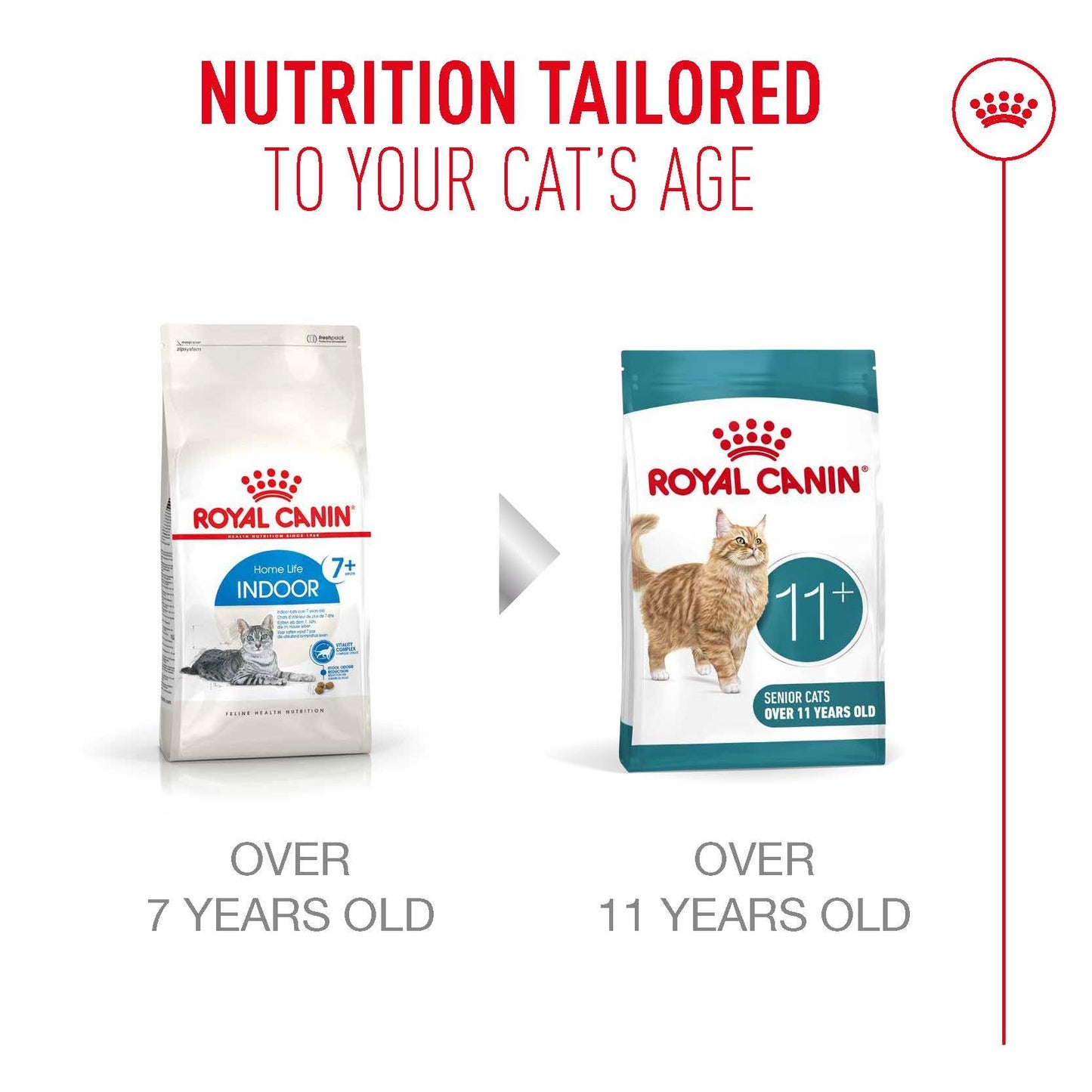 Royal Canin Ageing 11+ Adult Dry Cat Food