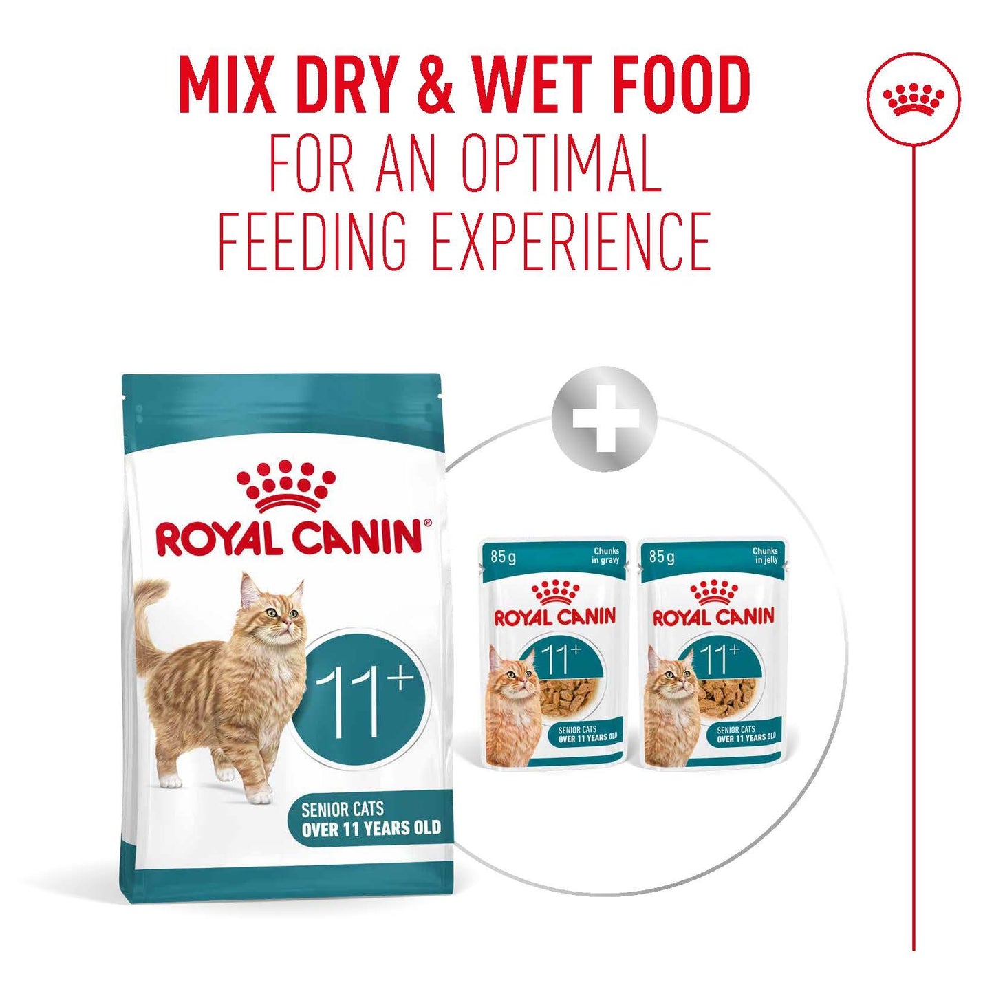 Royal Canin Ageing 11+ Adult Dry Cat Food