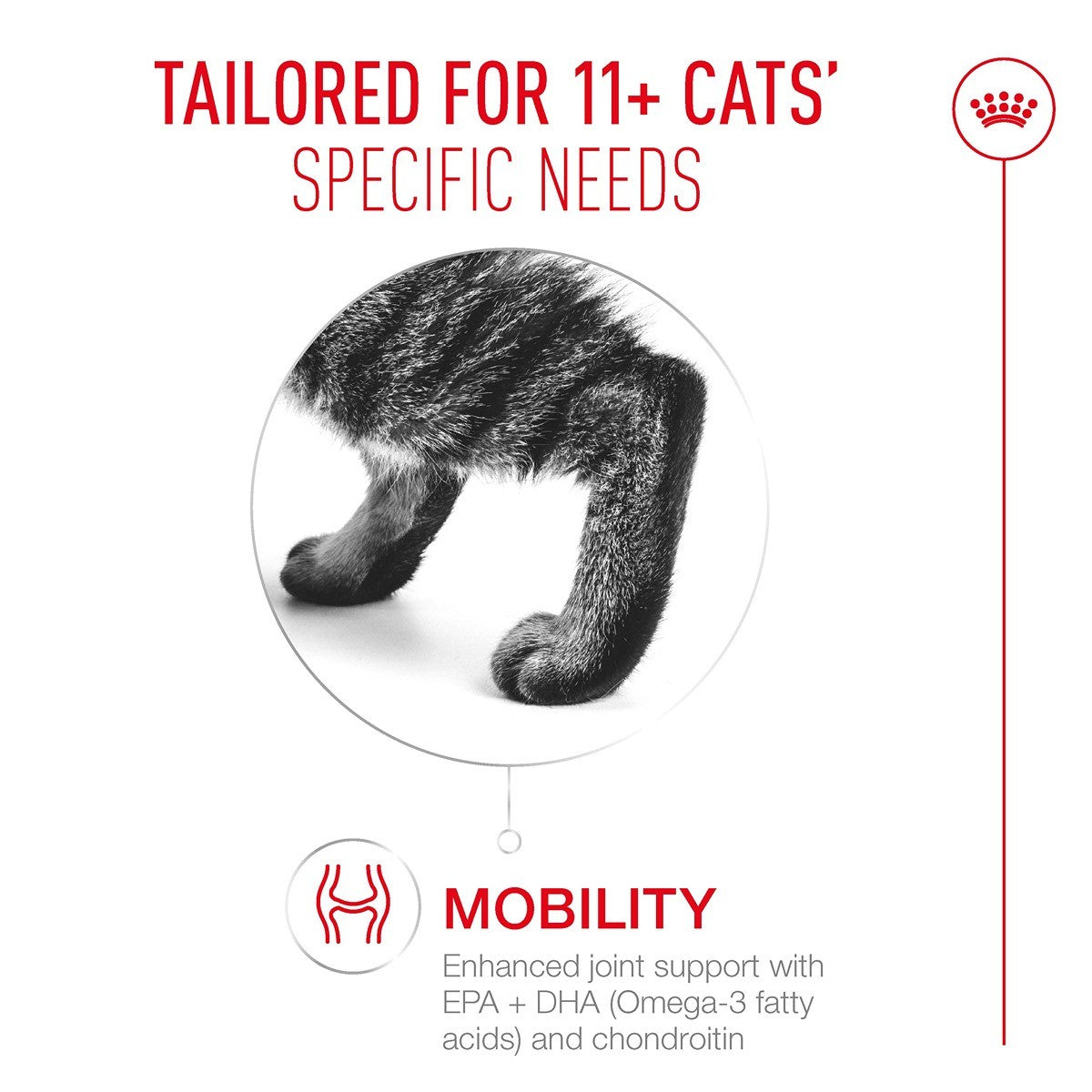 ROYAL CANIN Ageing 11+ Adult Jelly Wet Cat Food