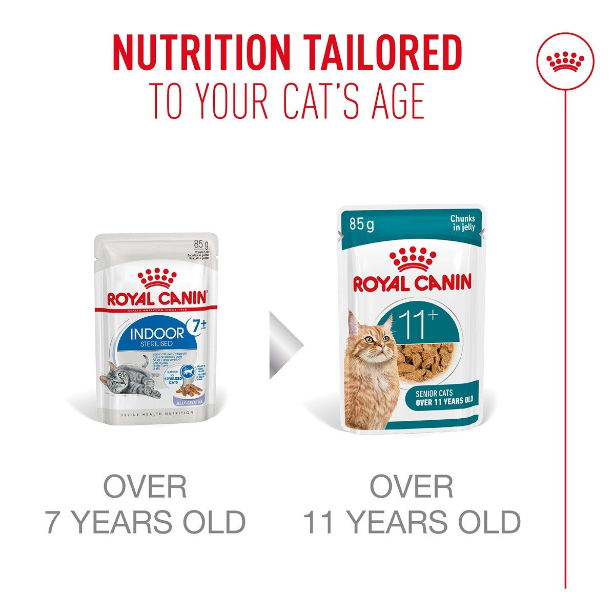 ROYAL CANIN Ageing 11+ Adult Jelly Wet Cat Food