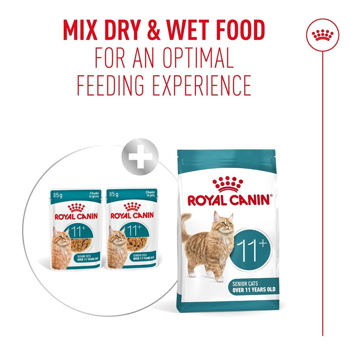 ROYAL CANIN Ageing 11+ Adult Jelly Wet Cat Food