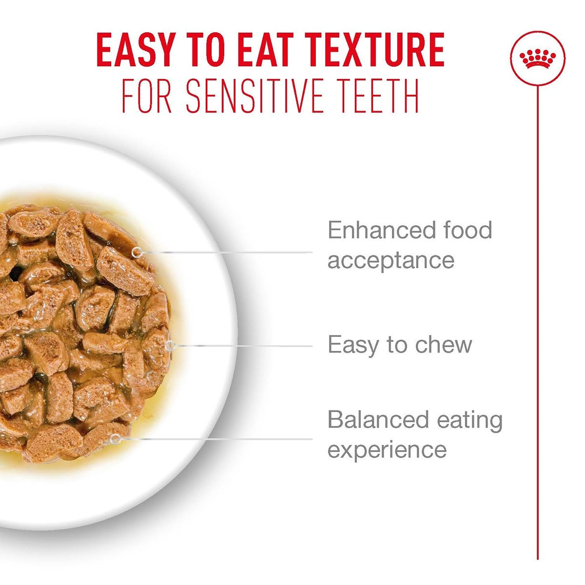 Royal Canin Ageing 11+ Adult Gravy Wet Cat Food