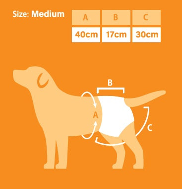 Lexi & Me Re-usable Nappies for Dogs