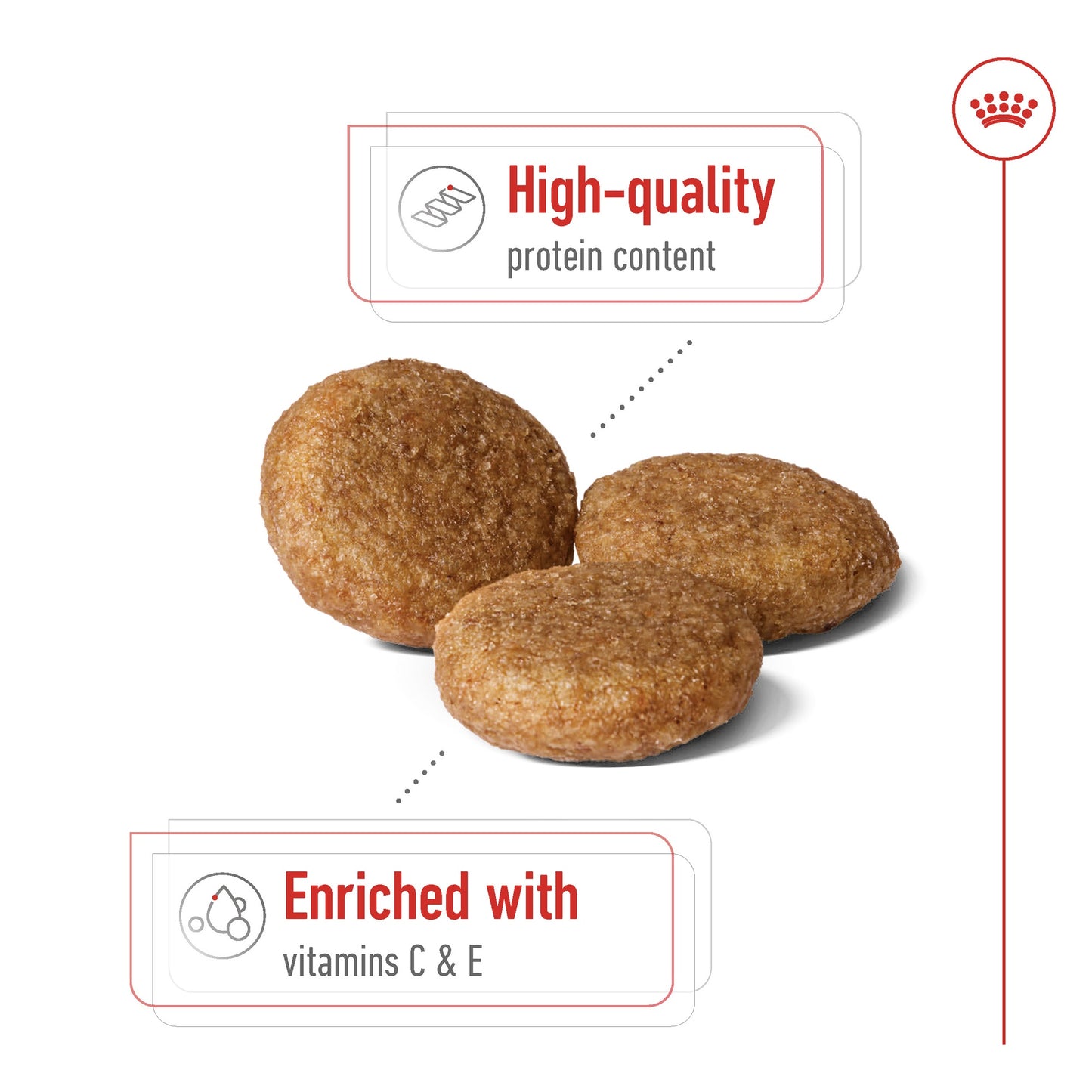 Royal Canin Medium Adult Dry Dog Food