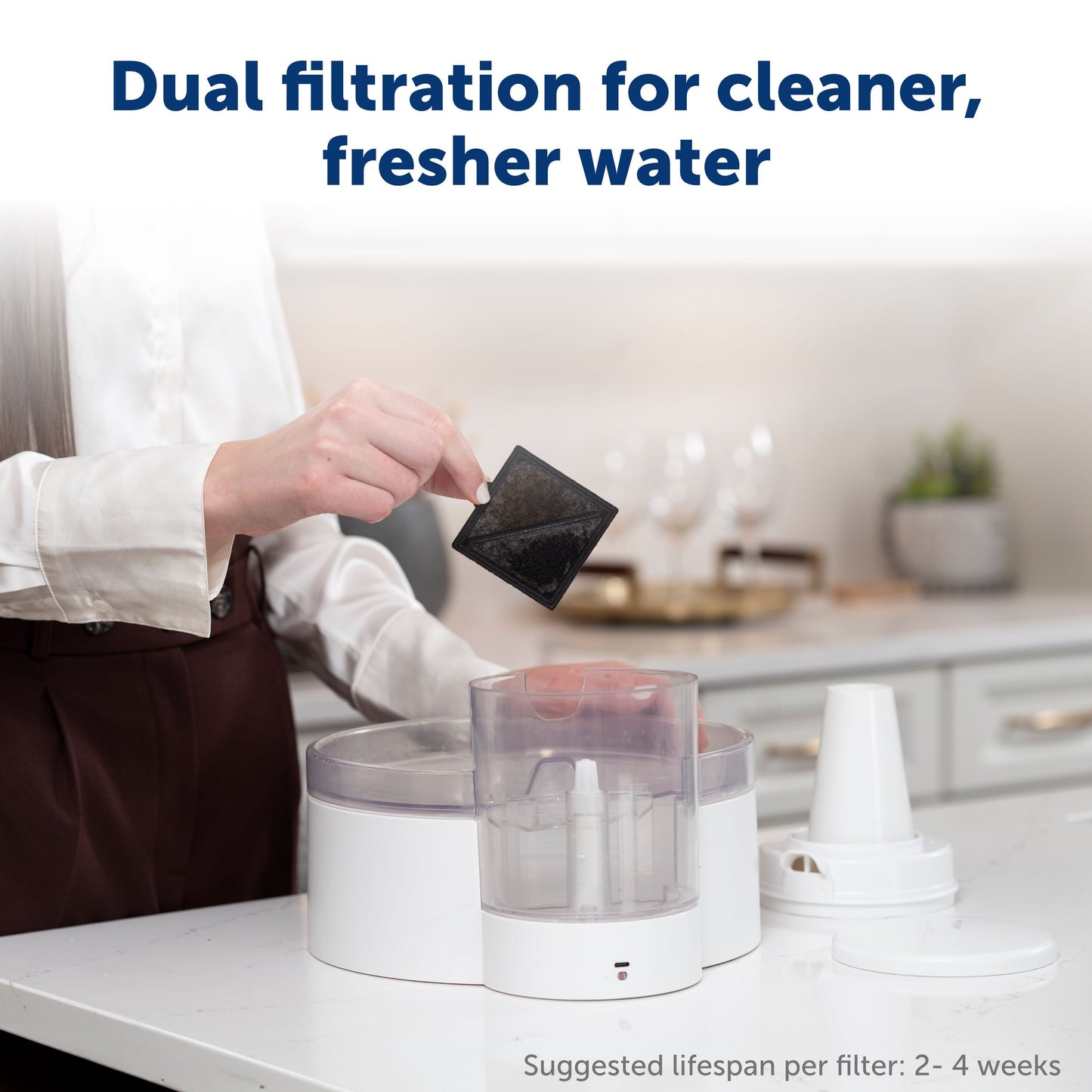 Petsafe Outlast Pumpless Pet Fountain