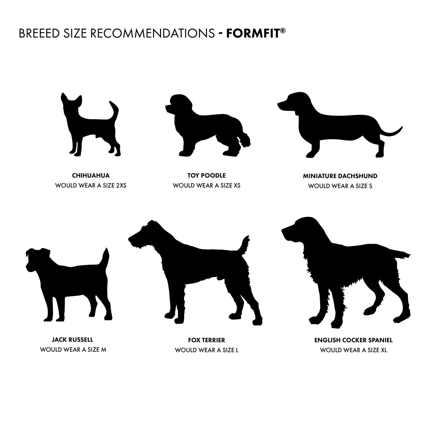 EzyDog FormFit Mesh Dog Harness