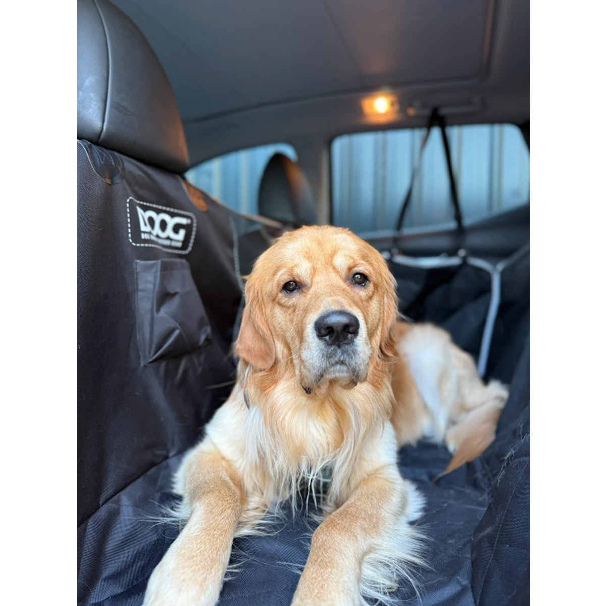 DOOG Car Seat Cover