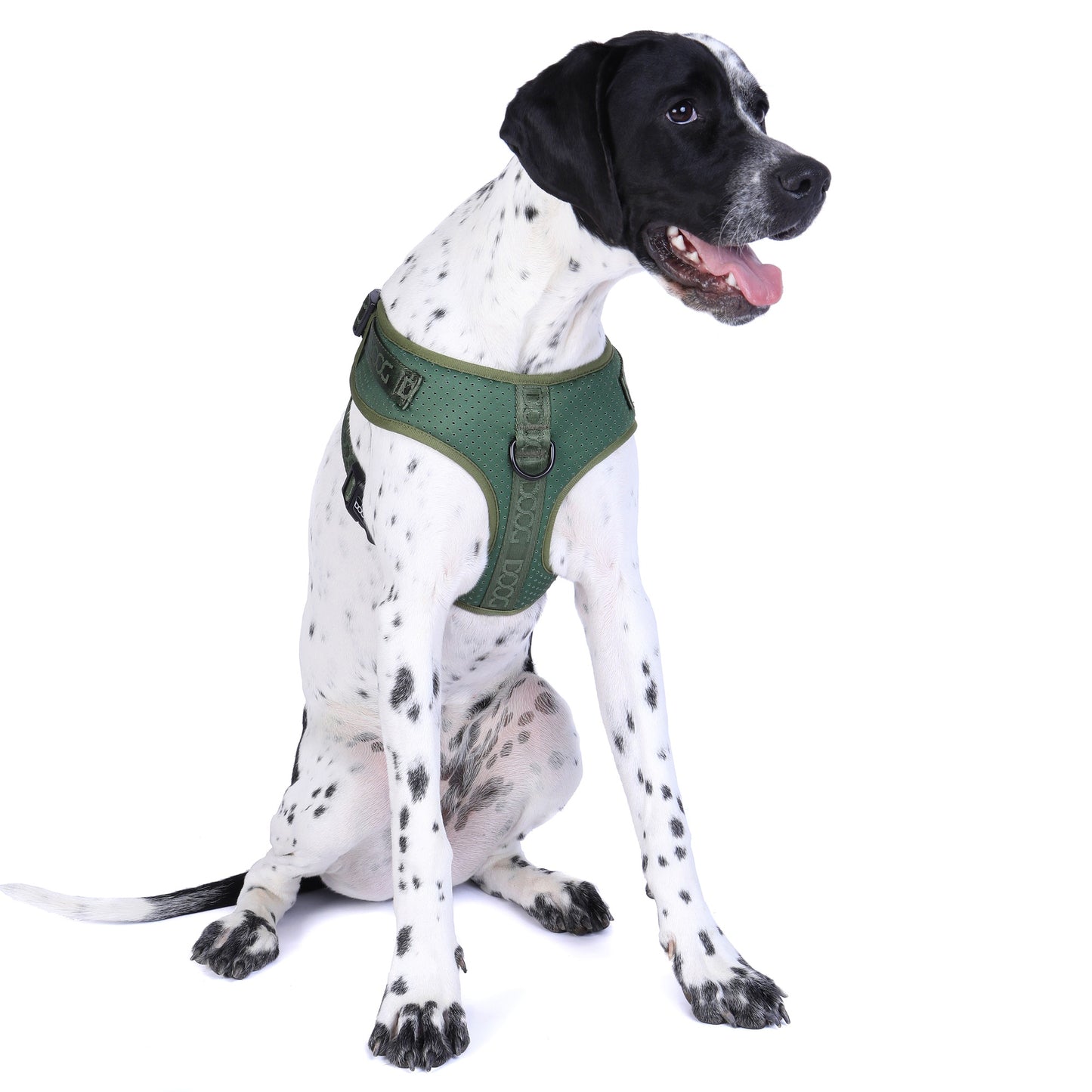 DOOG Neosport Dog Harness