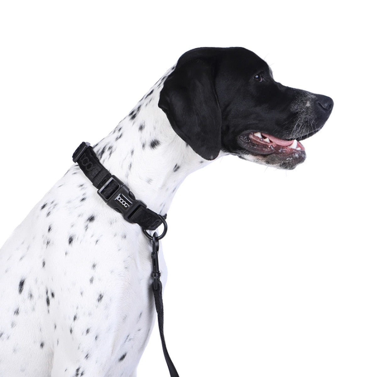 DOOG Neosport Dog Collar - Black