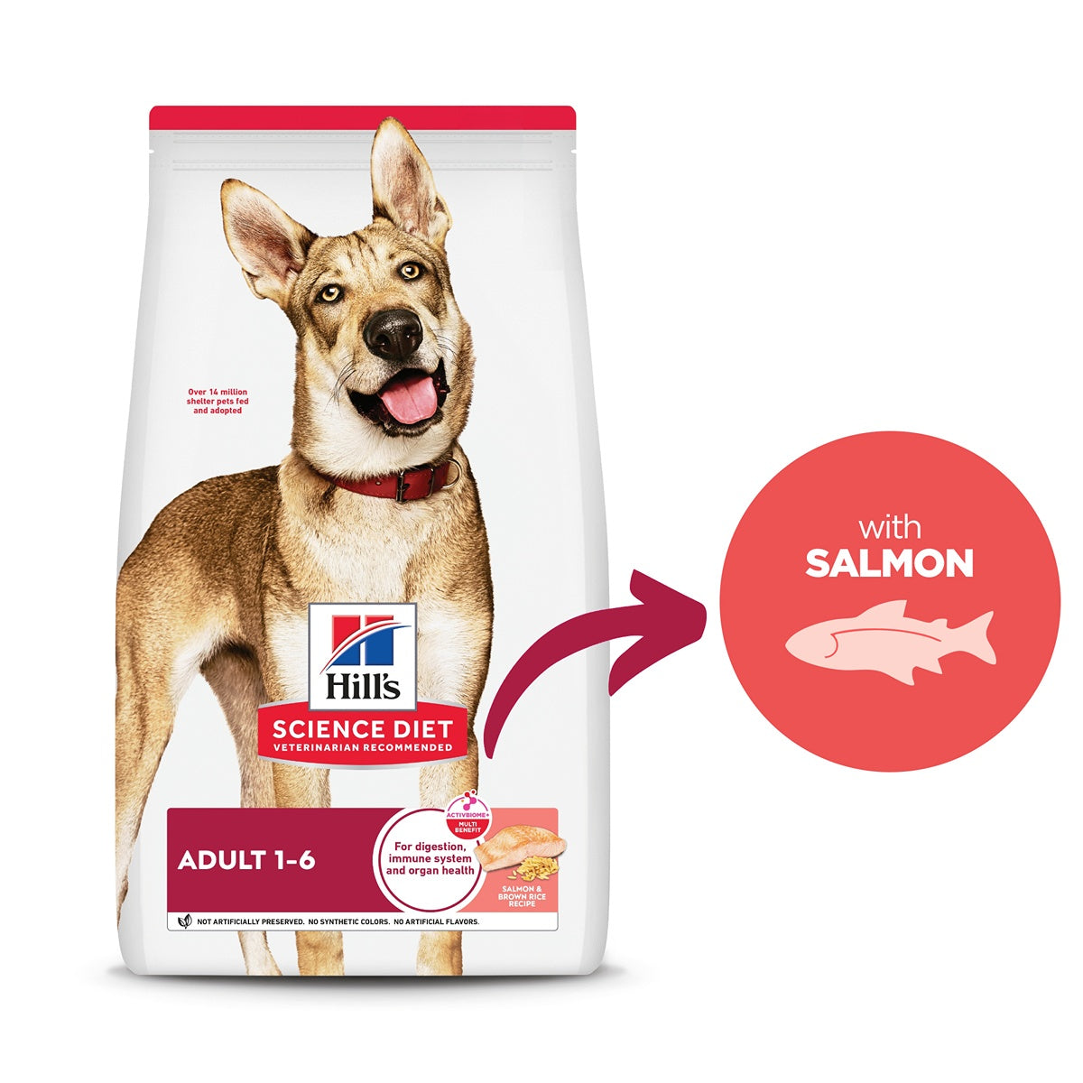 Hill's Science Diet Adult Salmon & Brown Rice Dry Dog Food