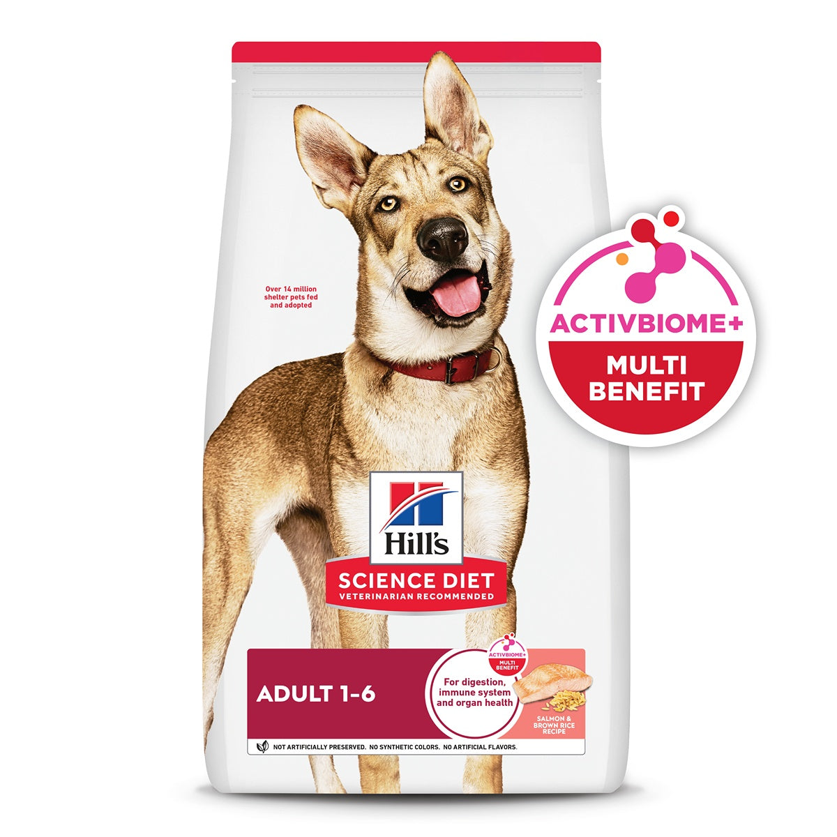 Hill's Science Diet Adult Salmon & Brown Rice Dry Dog Food
