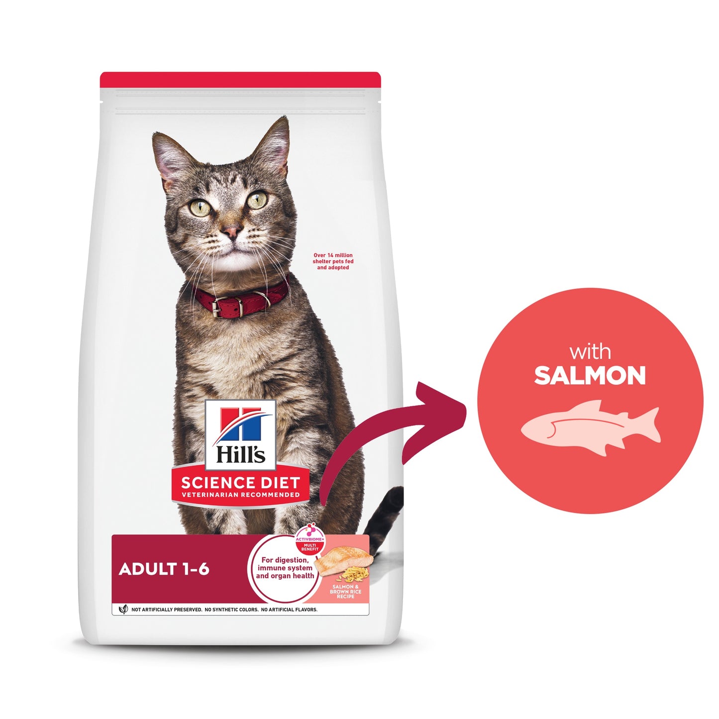 Hill's Science Diet Adult Salmon & Brown Rice Dry Cat Food