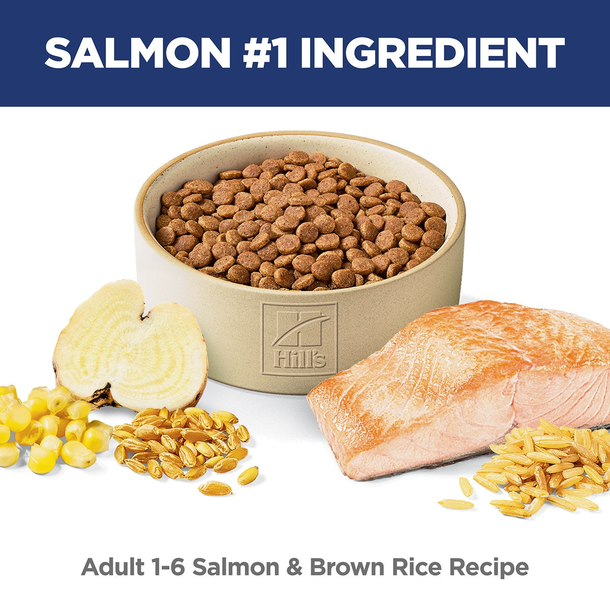 Hill's Science Diet Adult Salmon & Brown Rice Dry Cat Food