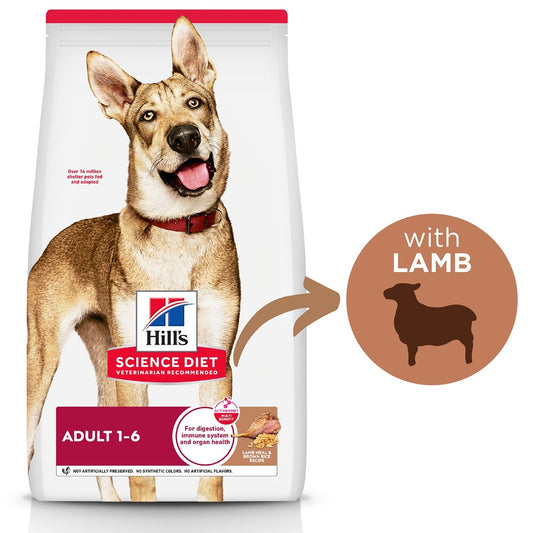 Hill's Science Diet Adult Lamb Meal & Brown Rice Dry Dog Food