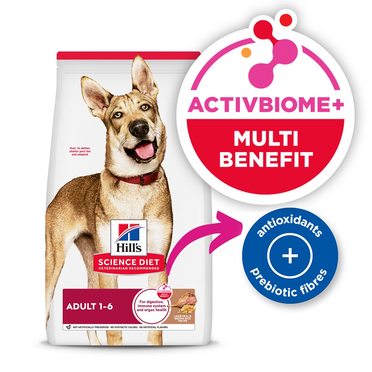 Hill's Science Diet Adult Lamb Meal & Brown Rice Dry Dog Food