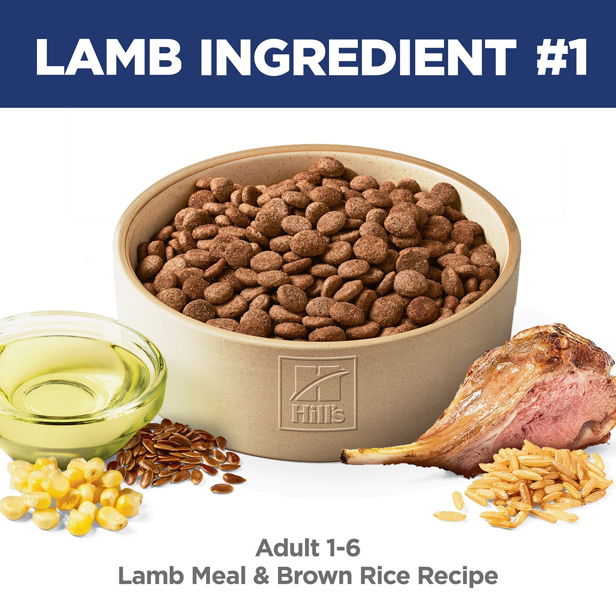 Hill's Science Diet Adult Lamb Meal & Brown Rice Dry Dog Food