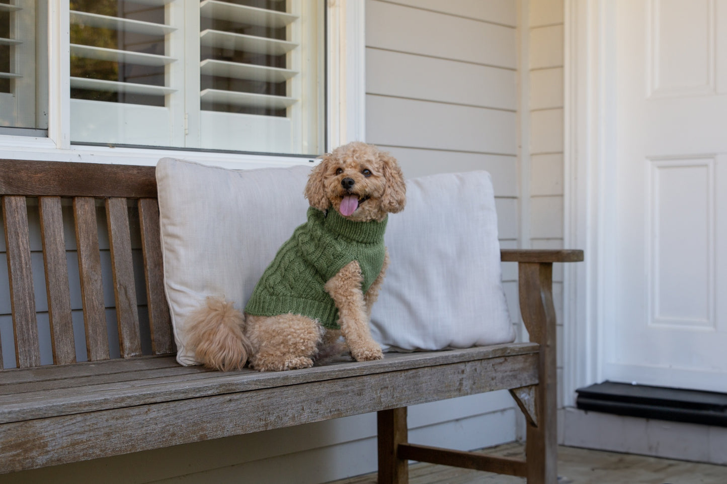 DGG Chunky Knit Dog Jumper Winter Sage