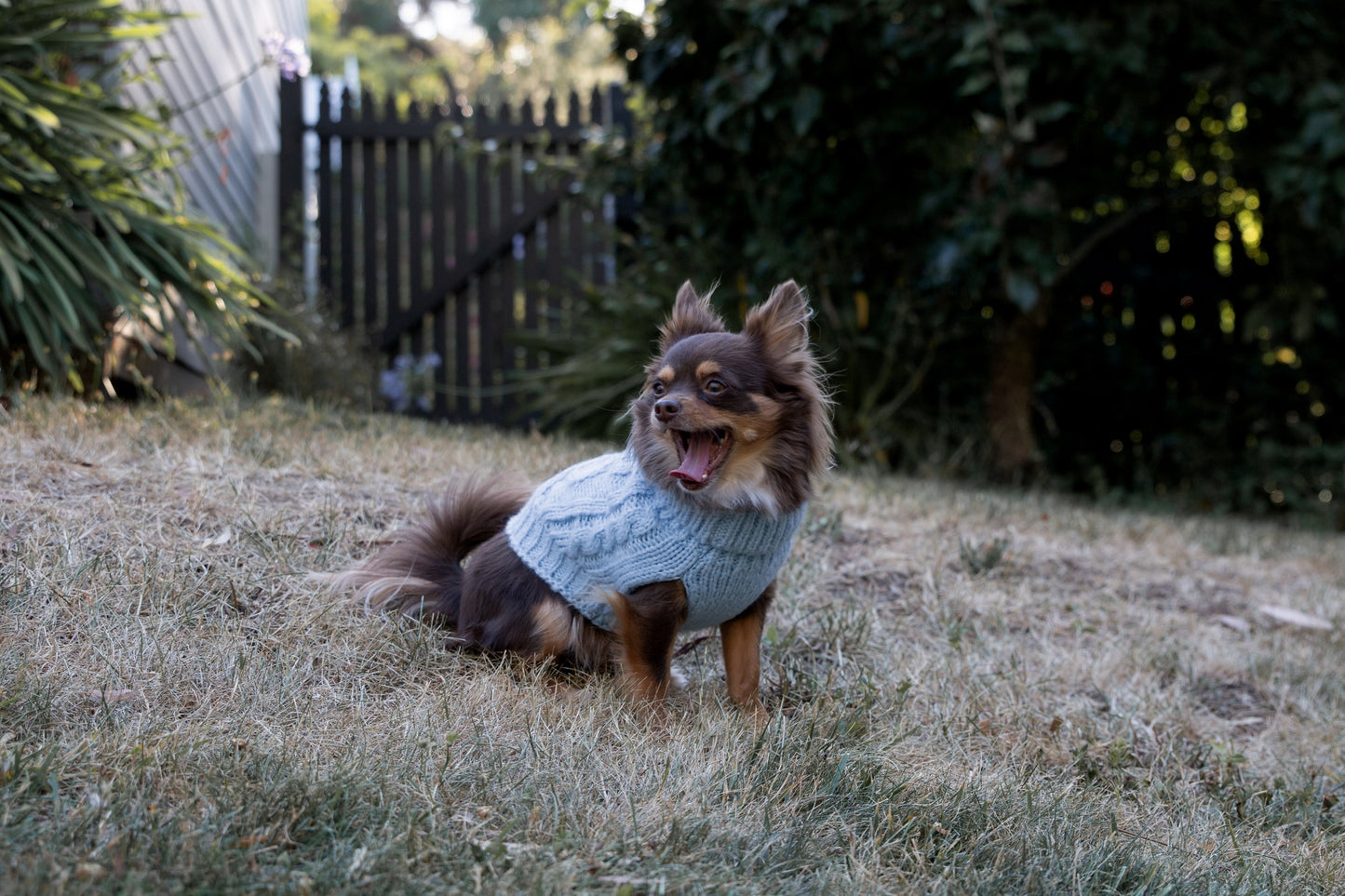 DGG Chunky Knit Dog Jumper Blue