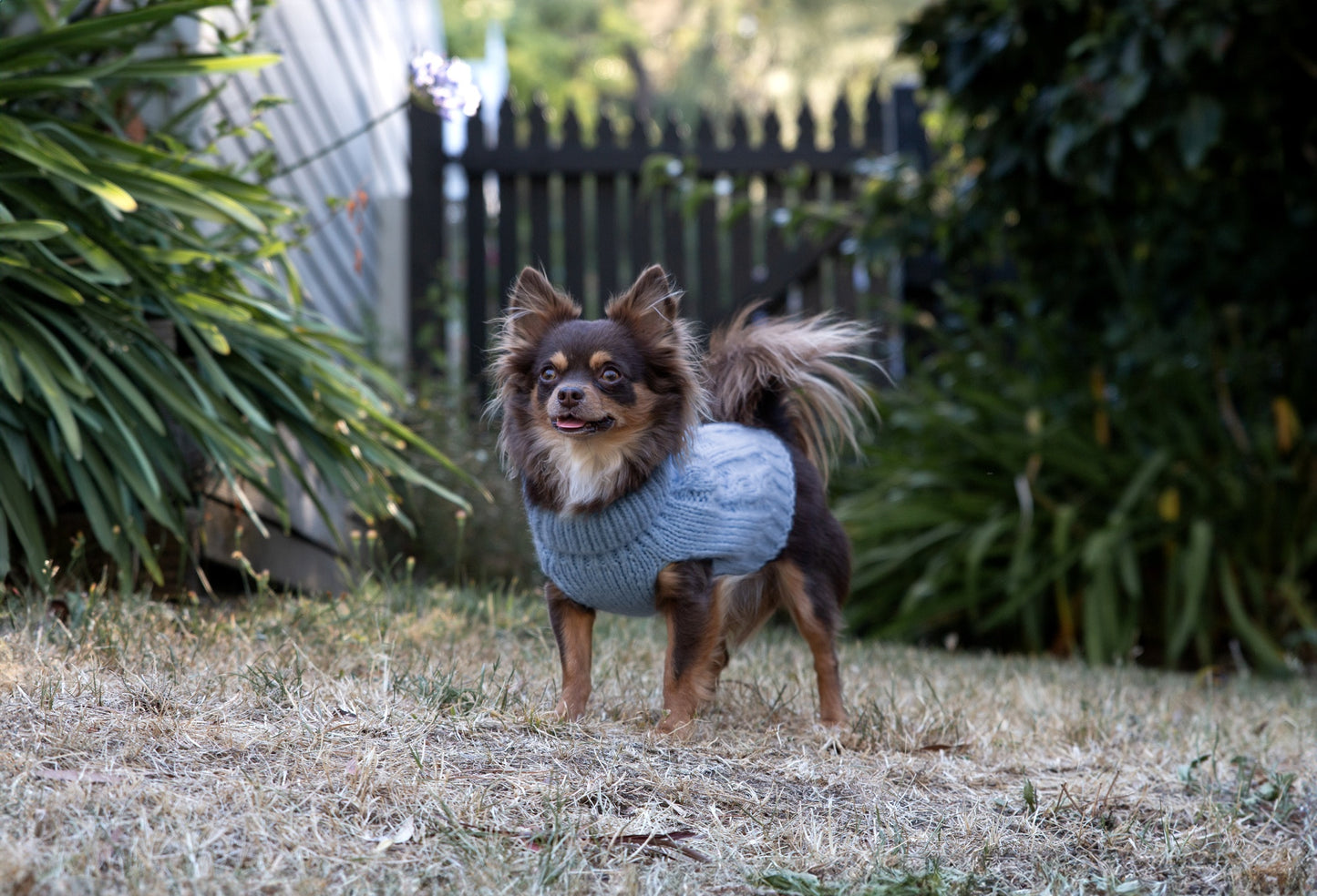 DGG Chunky Knit Dog Jumper Blue