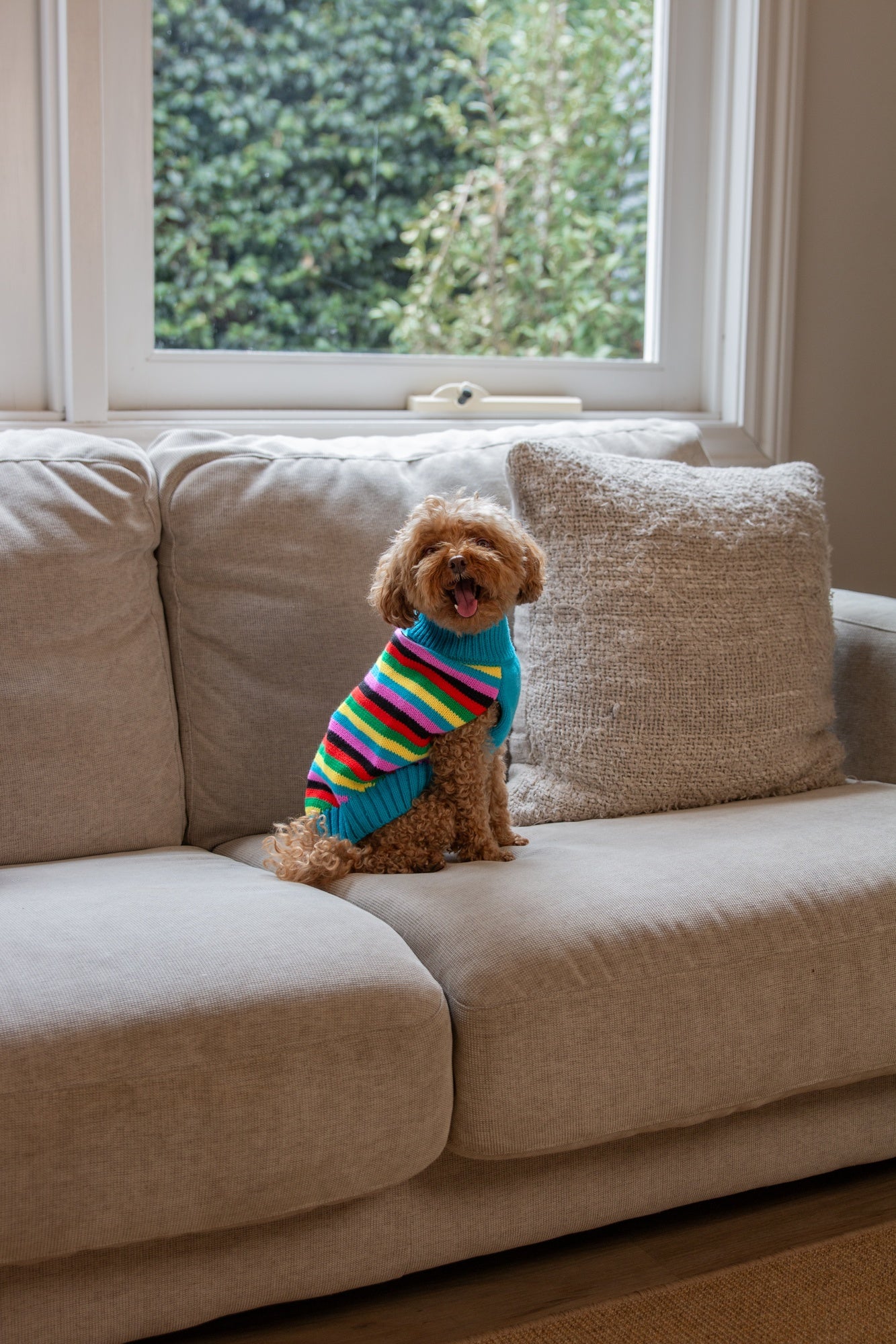 DGG Fashion Knit Dog Jumper Rainbow Stripe