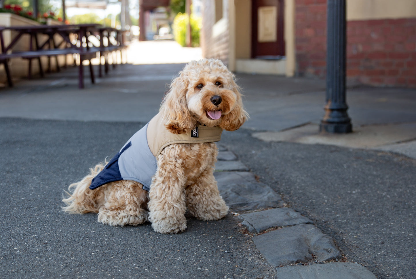 DGG Fashionista Dog Jacket Tri Colour Toastie