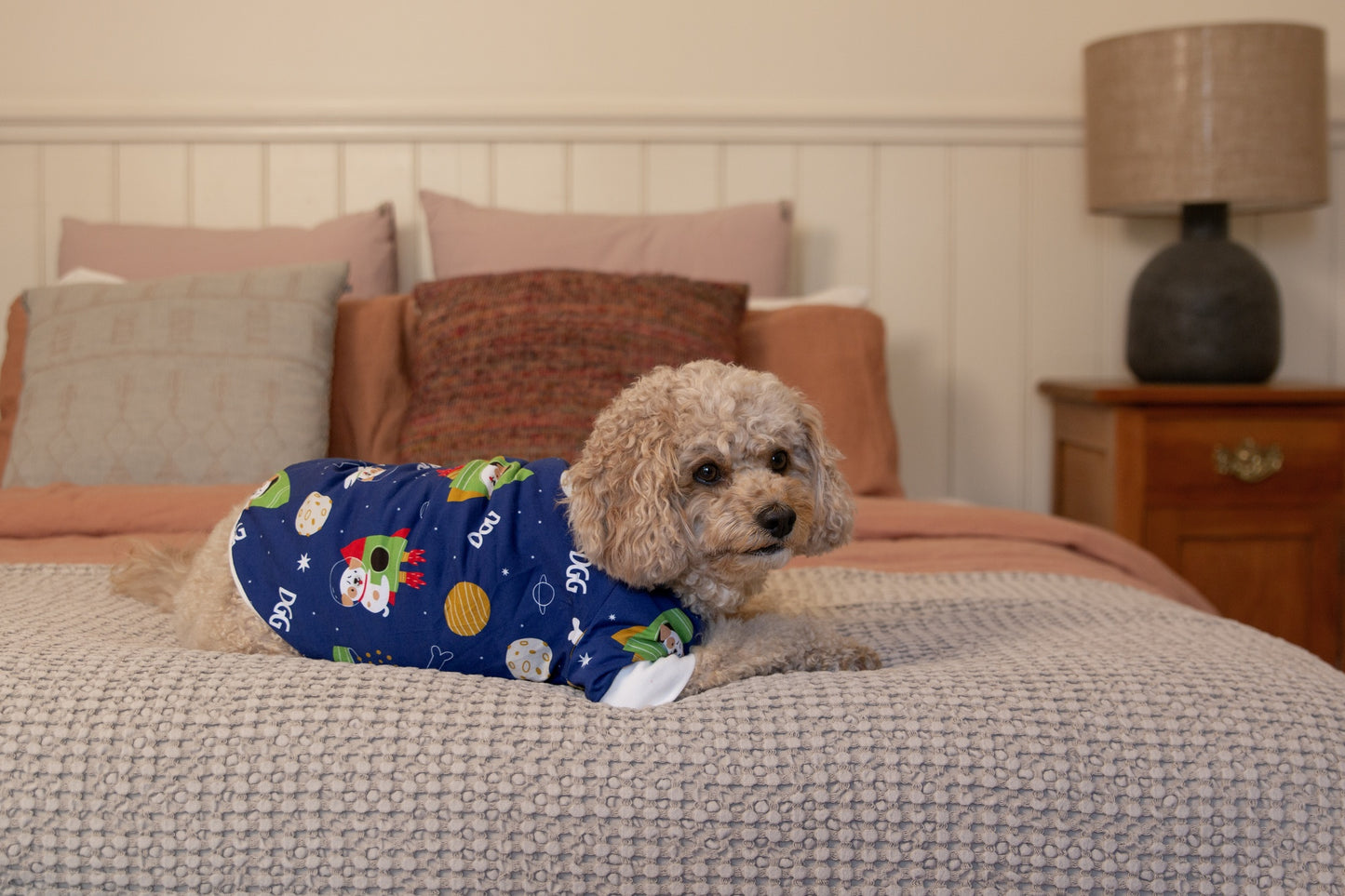 DGG Dog Pyjamas Dogs in Space