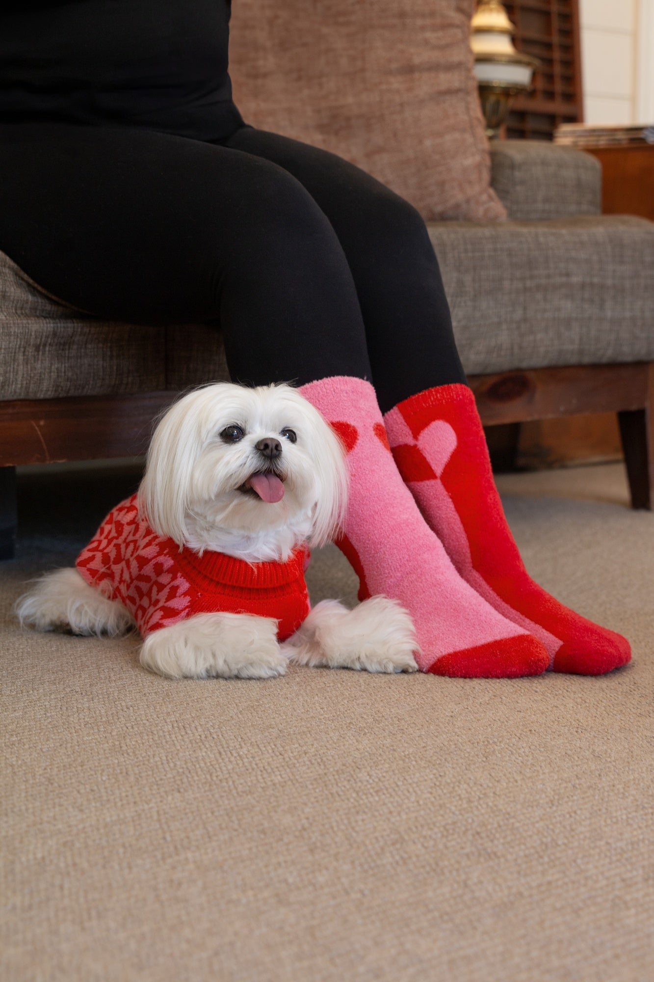 DGG Hooman Bed Socks - Sweetheart