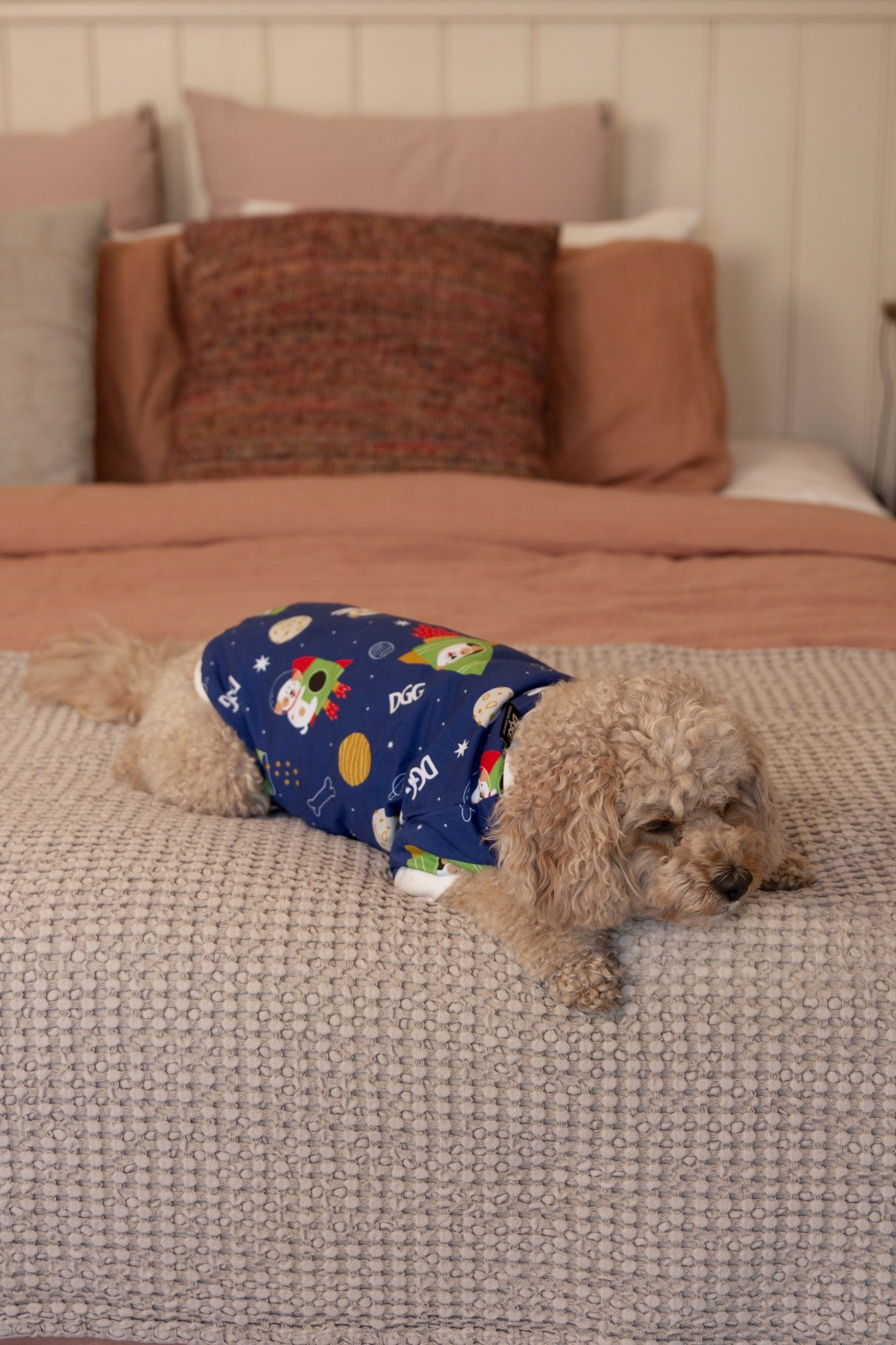 DGG Dog Pyjamas Dogs in Space