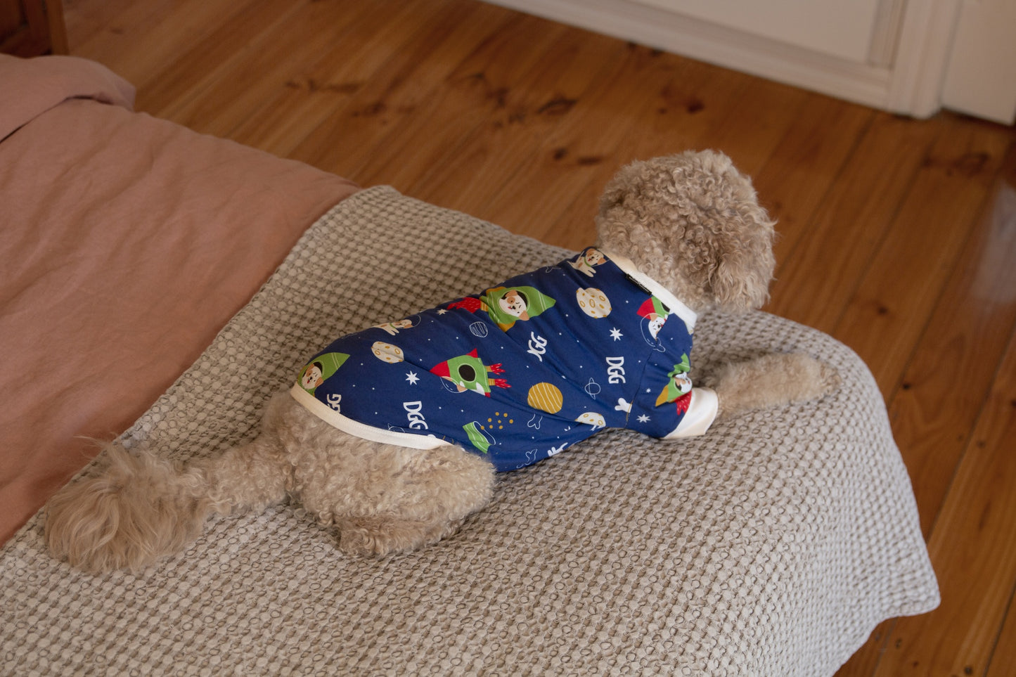 DGG Dog Pyjamas Dogs in Space