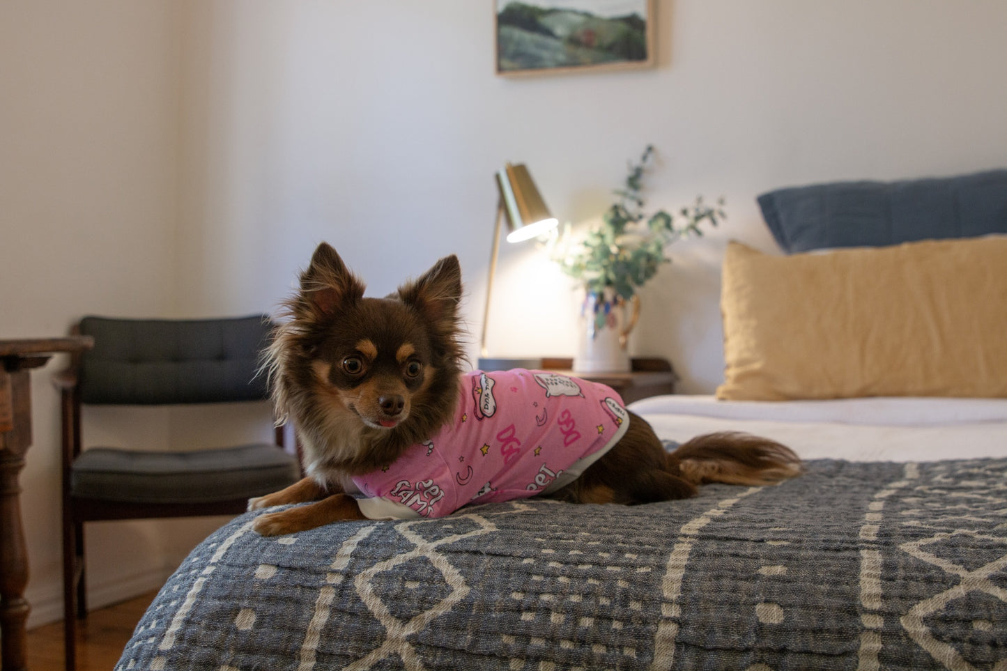 DGG Dog Pyjamas Doggone Gorgeous