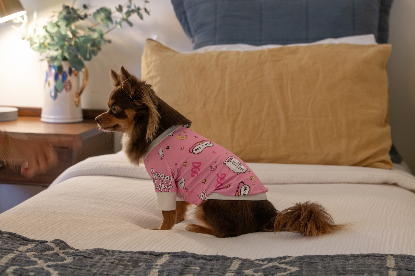 DGG Dog Pyjamas Doggone Gorgeous