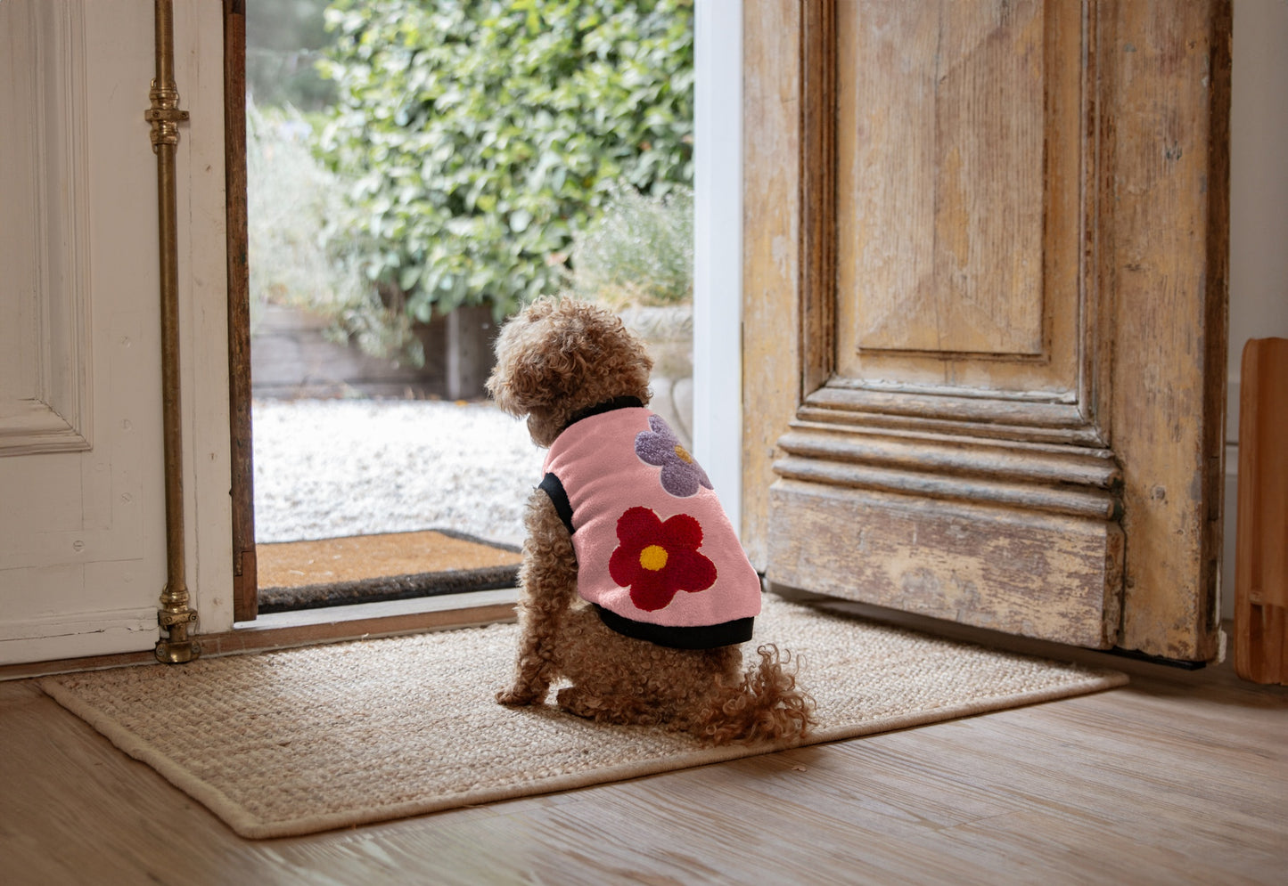 DGG Designer Warmie Dog Jumper Daisies