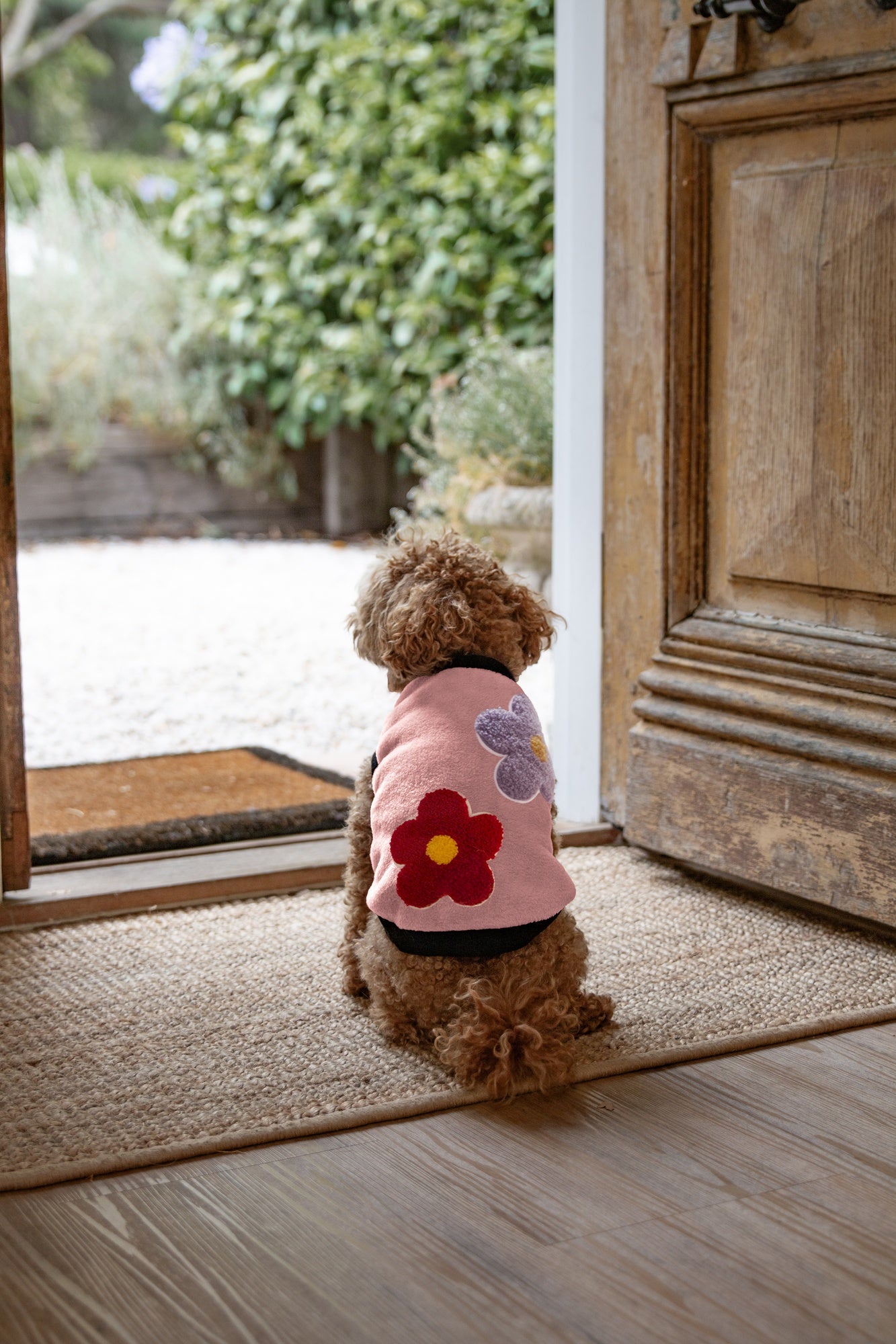 DGG Designer Warmie Dog Jumper Daisies