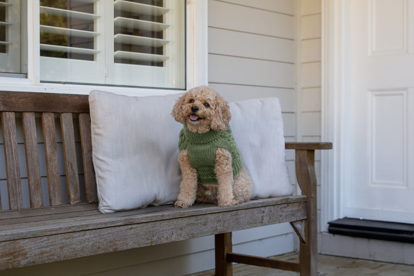 DGG Chunky Knit Dog Jumper Winter Sage